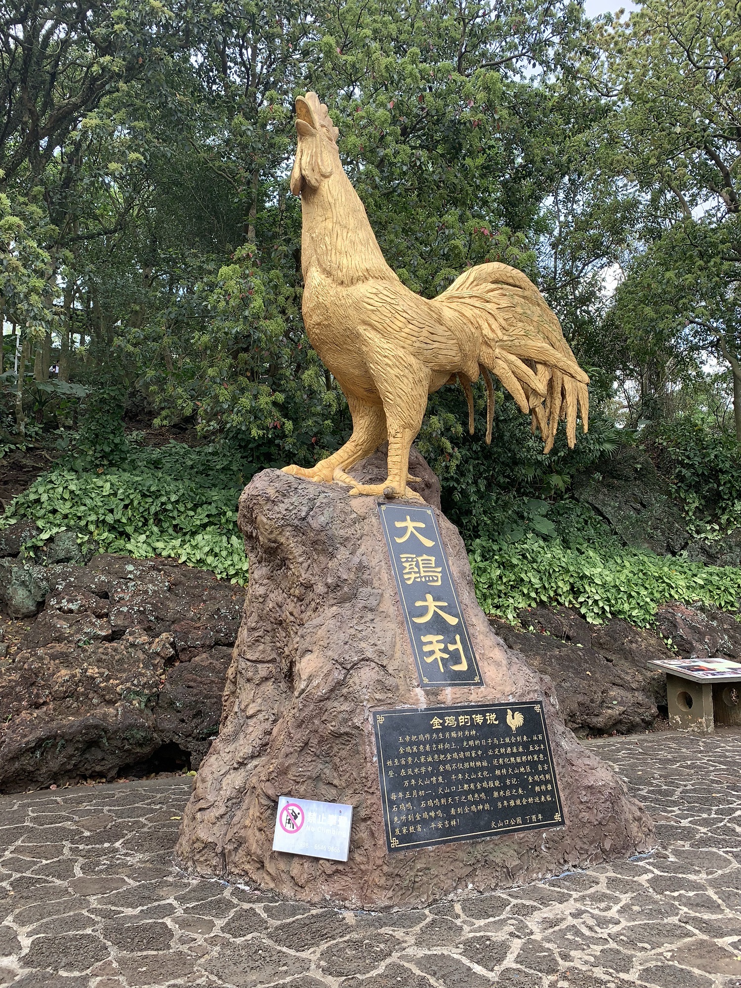 大鸡大利