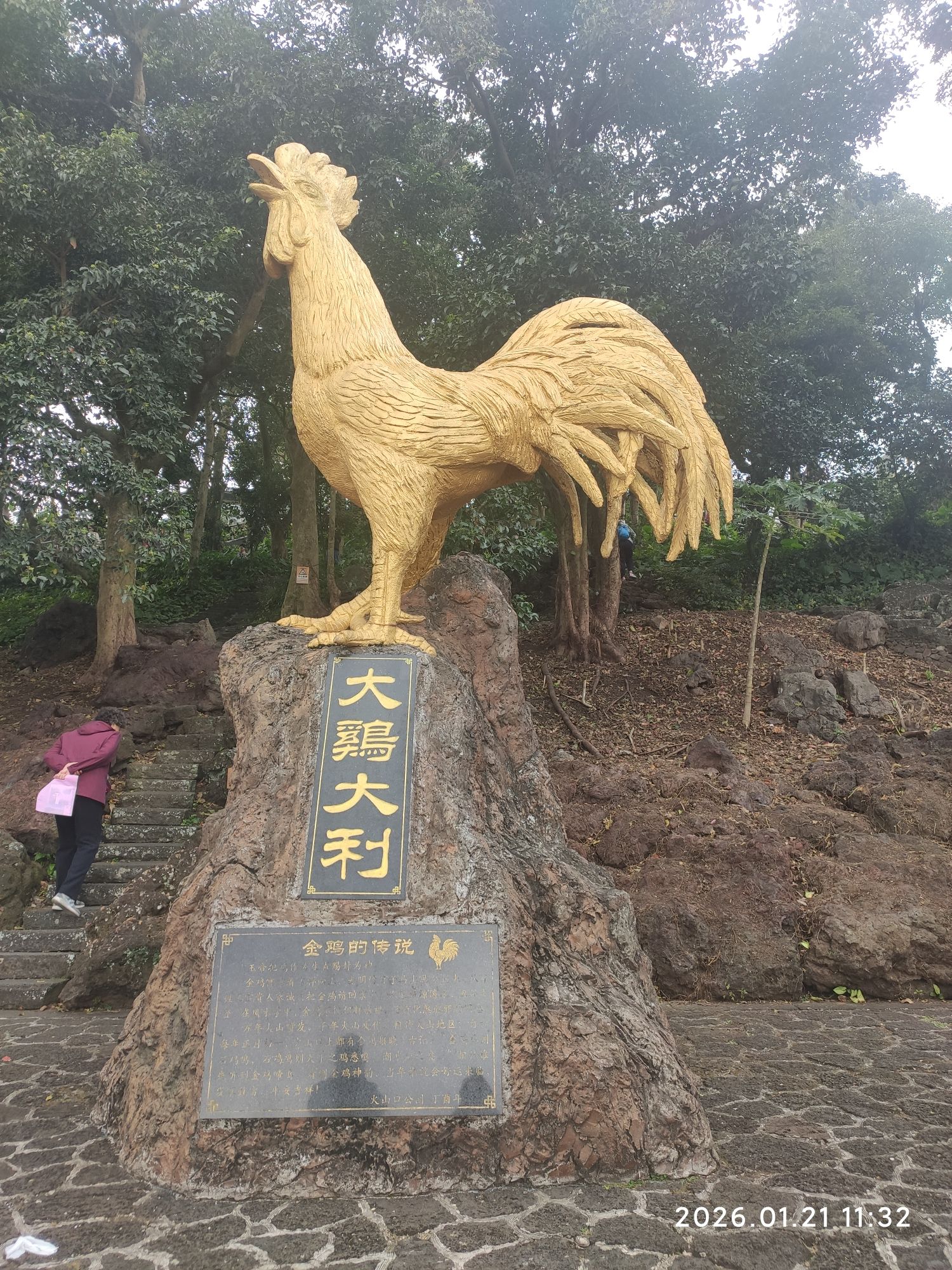 大鸡大利