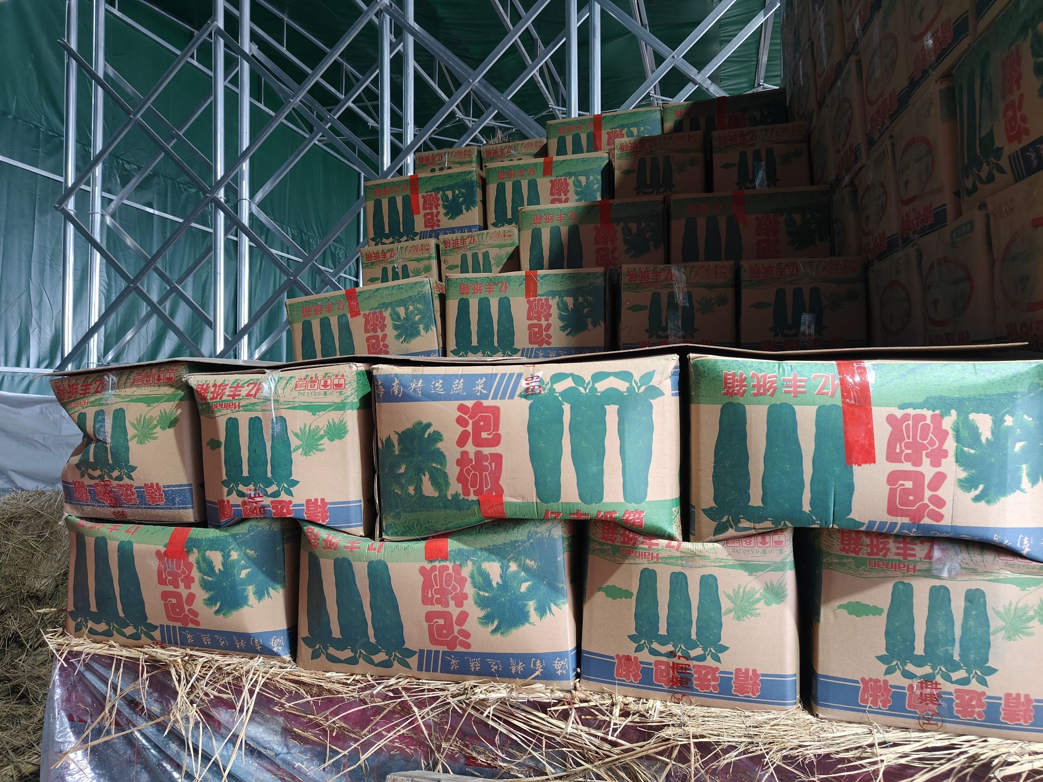 大地农副产品批发市场-精品水果交易区