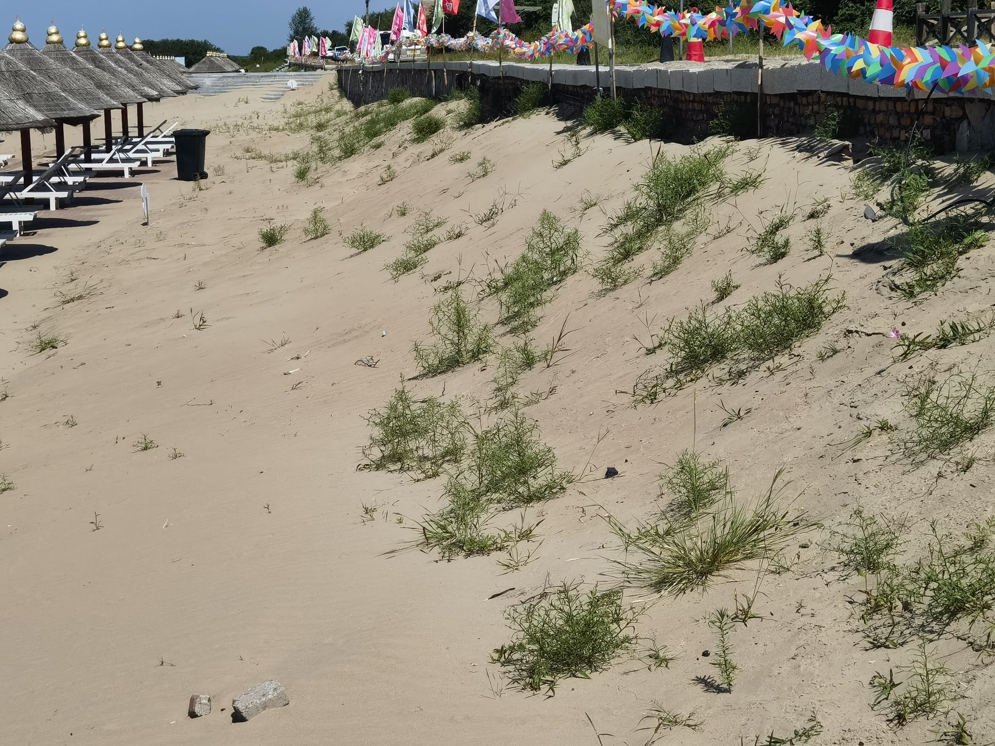 银沙湾生态旅游景区旅行图片 1