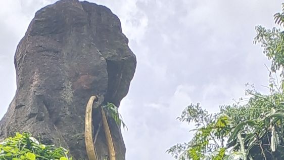 雷琼世界地质公园(海口园区)-熔岩流