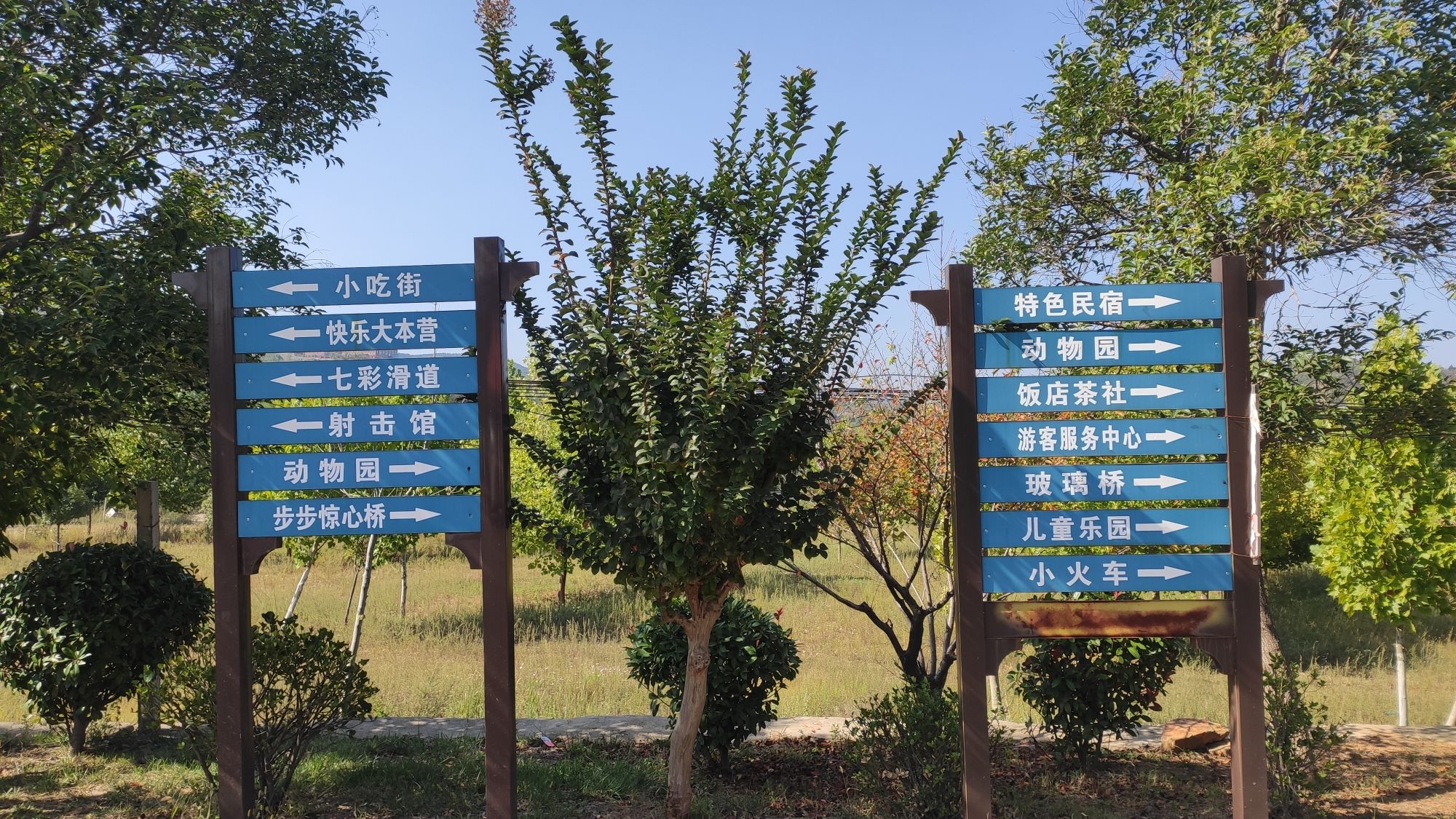 柳庄观光园旅行图片 2