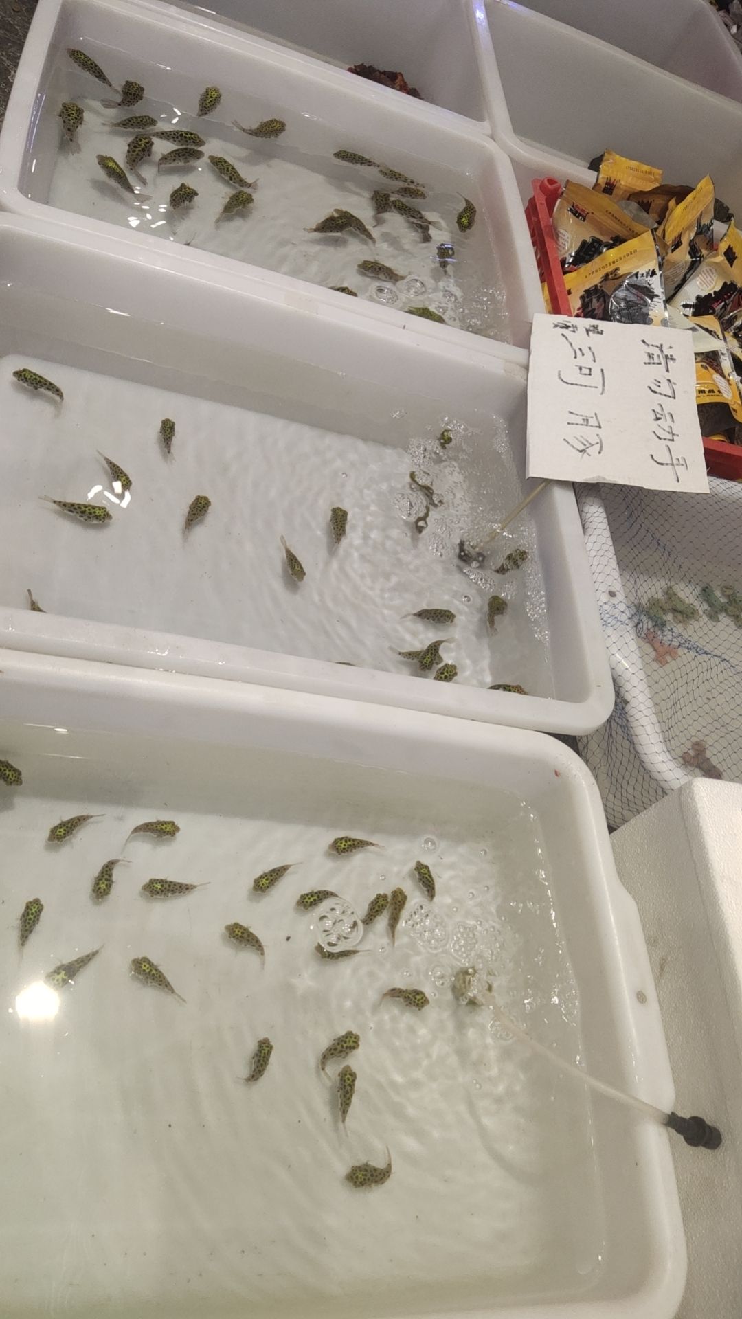 花都汇生态公园旅行图片 1