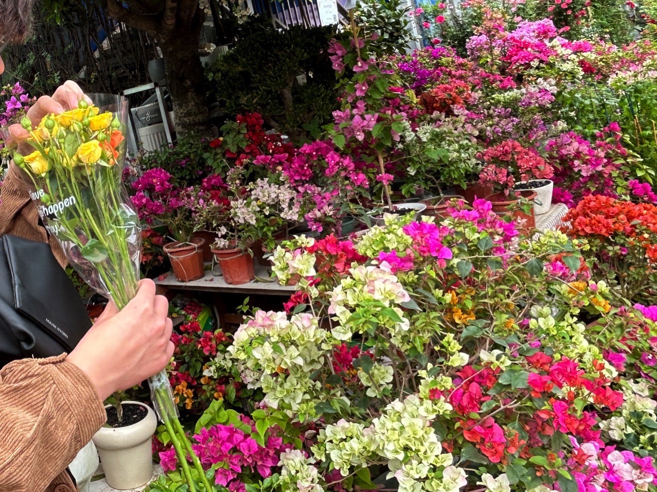 花都汇生态公园旅行图片 2