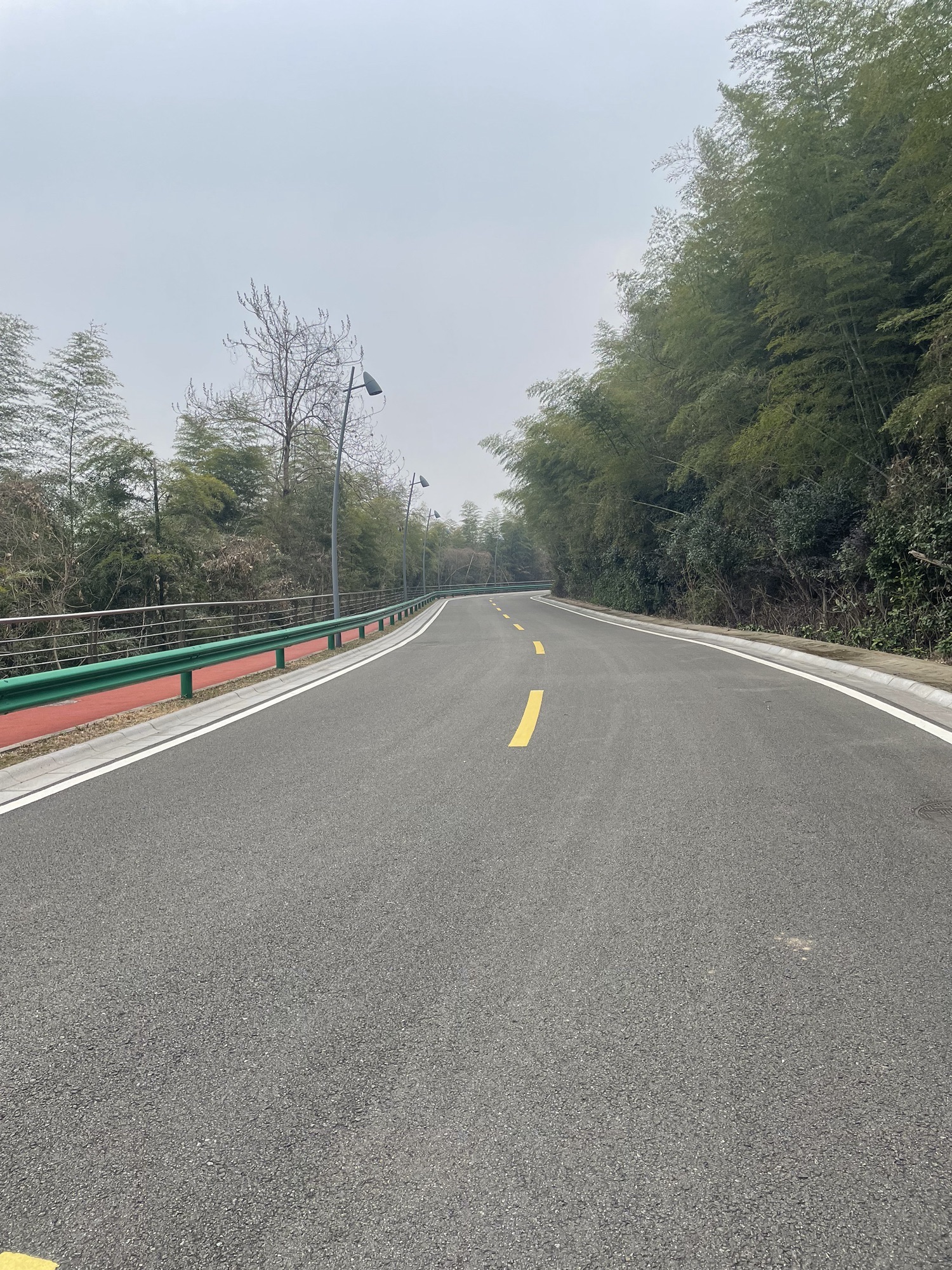 荪湖旅游度假区荪湖公园旅行图片 2