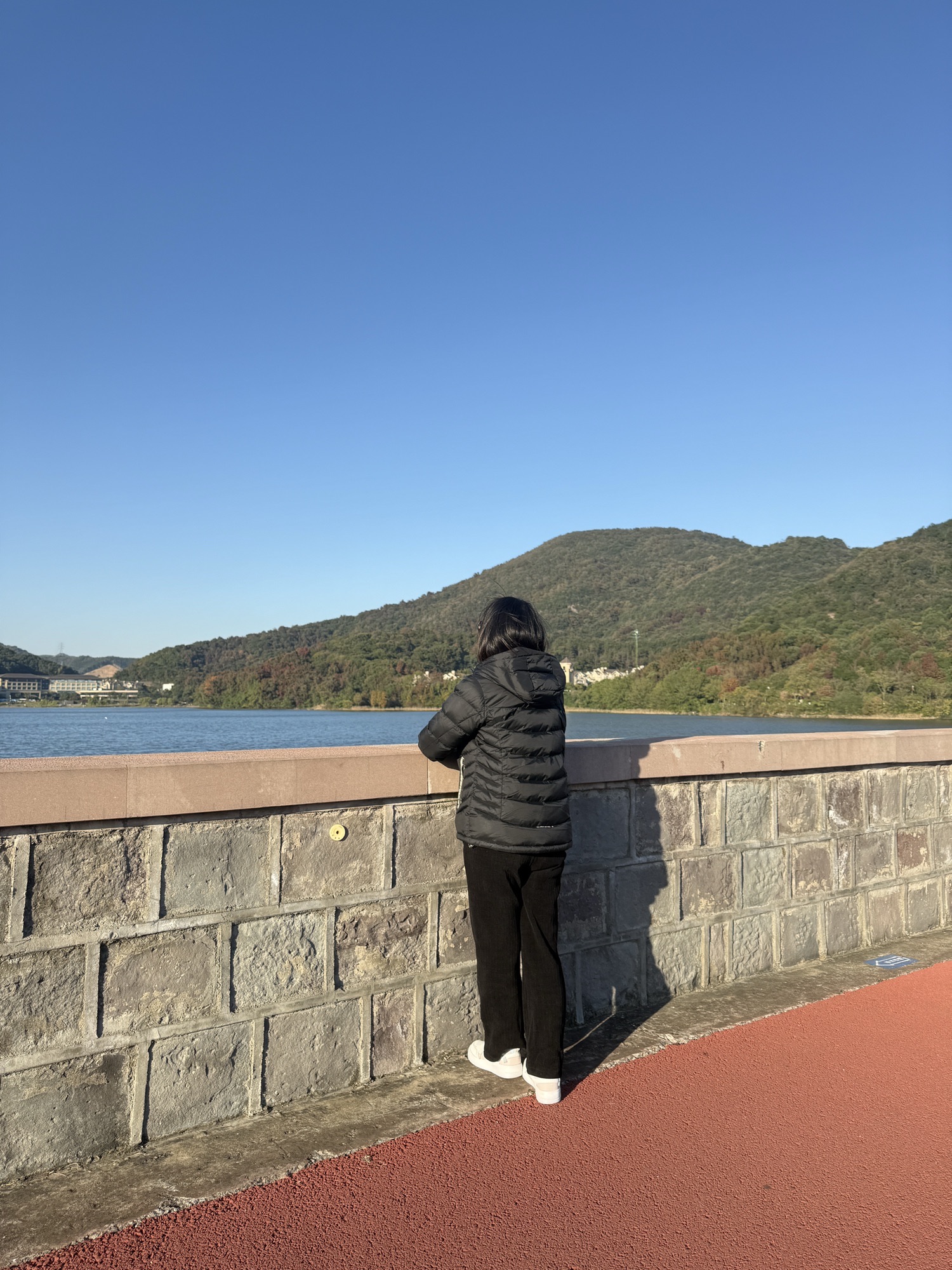 荪湖旅游度假区荪湖公园旅行图片 3