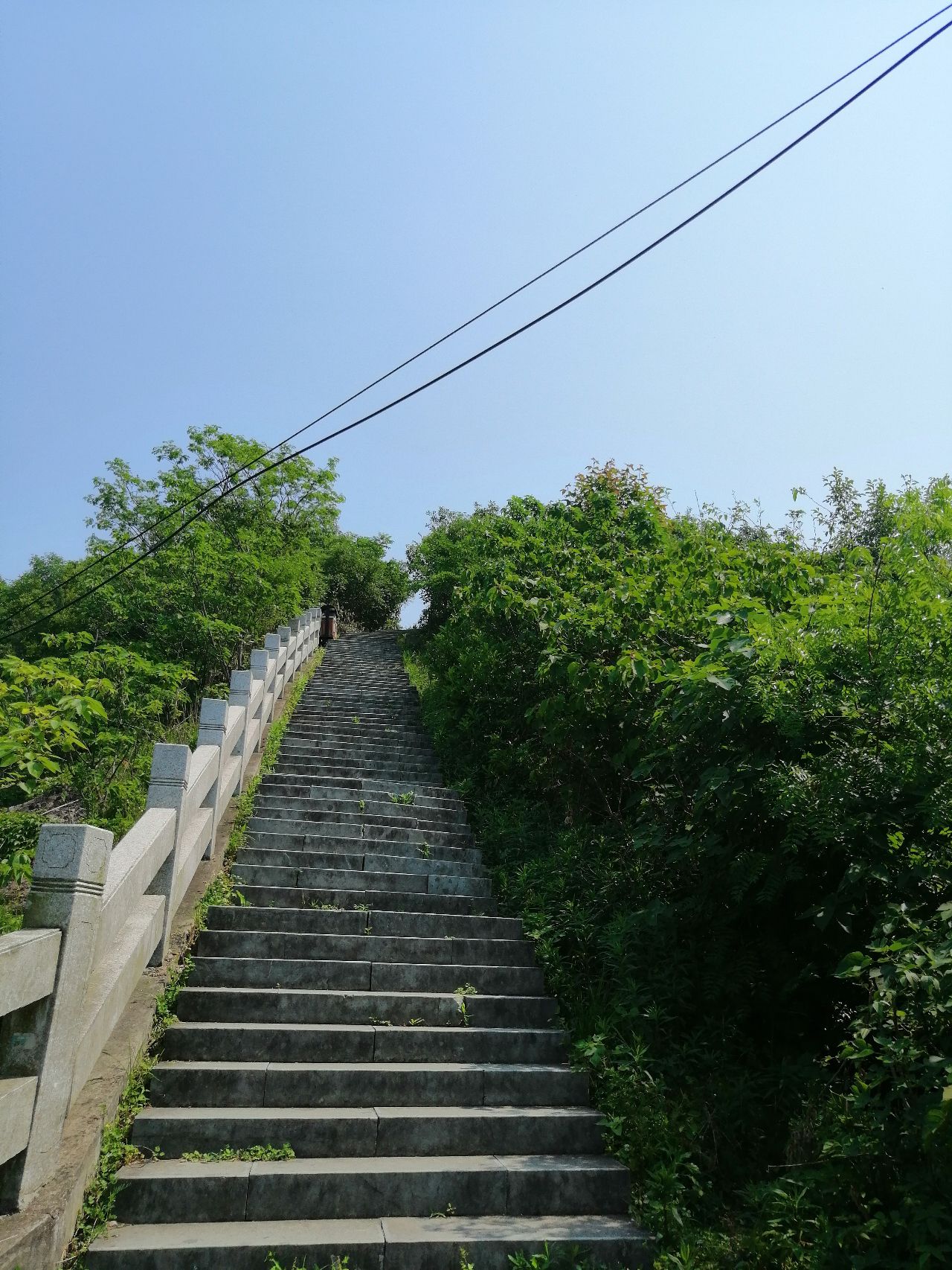 荪湖旅游度假区荪湖公园旅行图片 2