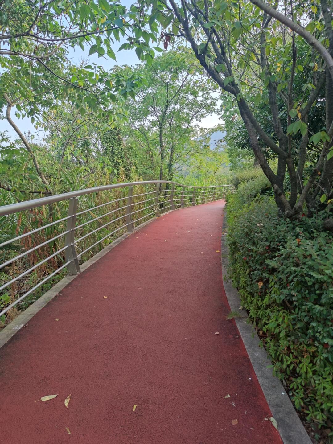 荪湖旅游度假区荪湖公园旅行图片 2