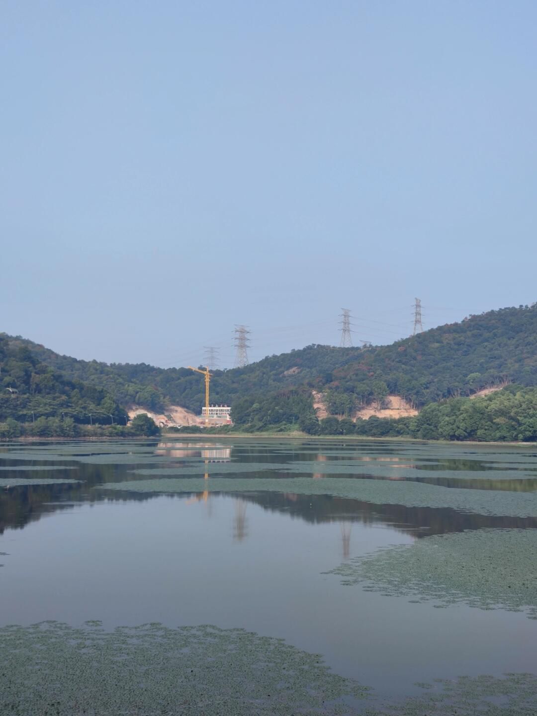 荪湖旅游度假区荪湖公园旅行图片 3