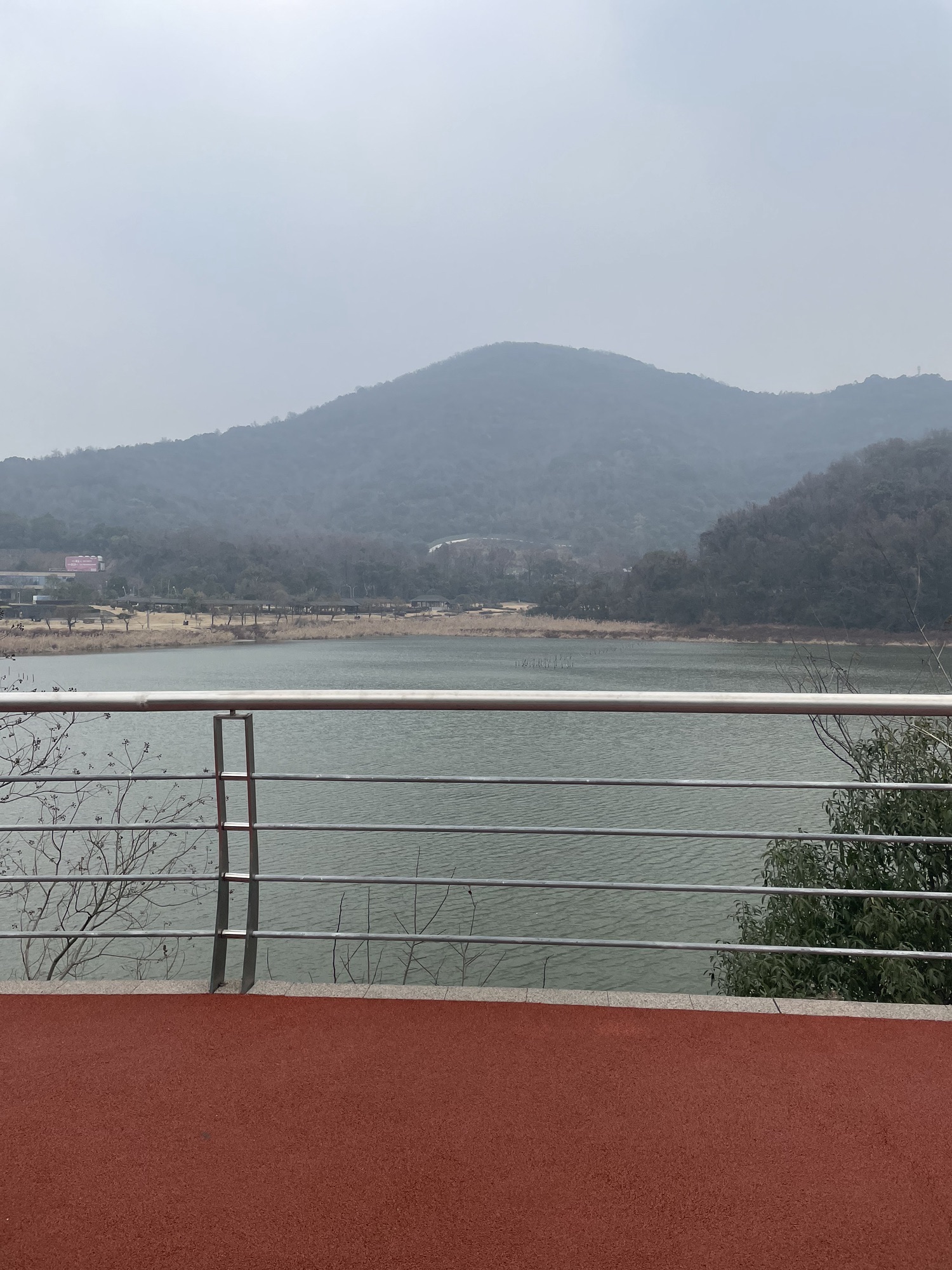 荪湖旅游度假区荪湖公园旅行图片 3