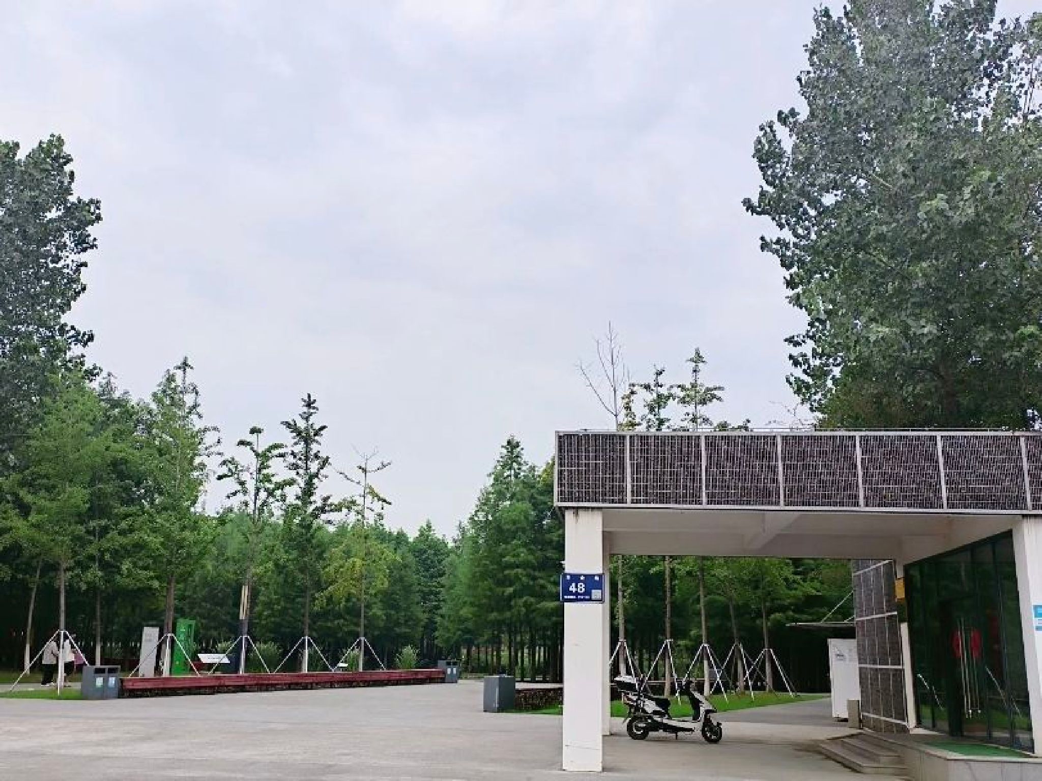 真山公园旅行图片 3