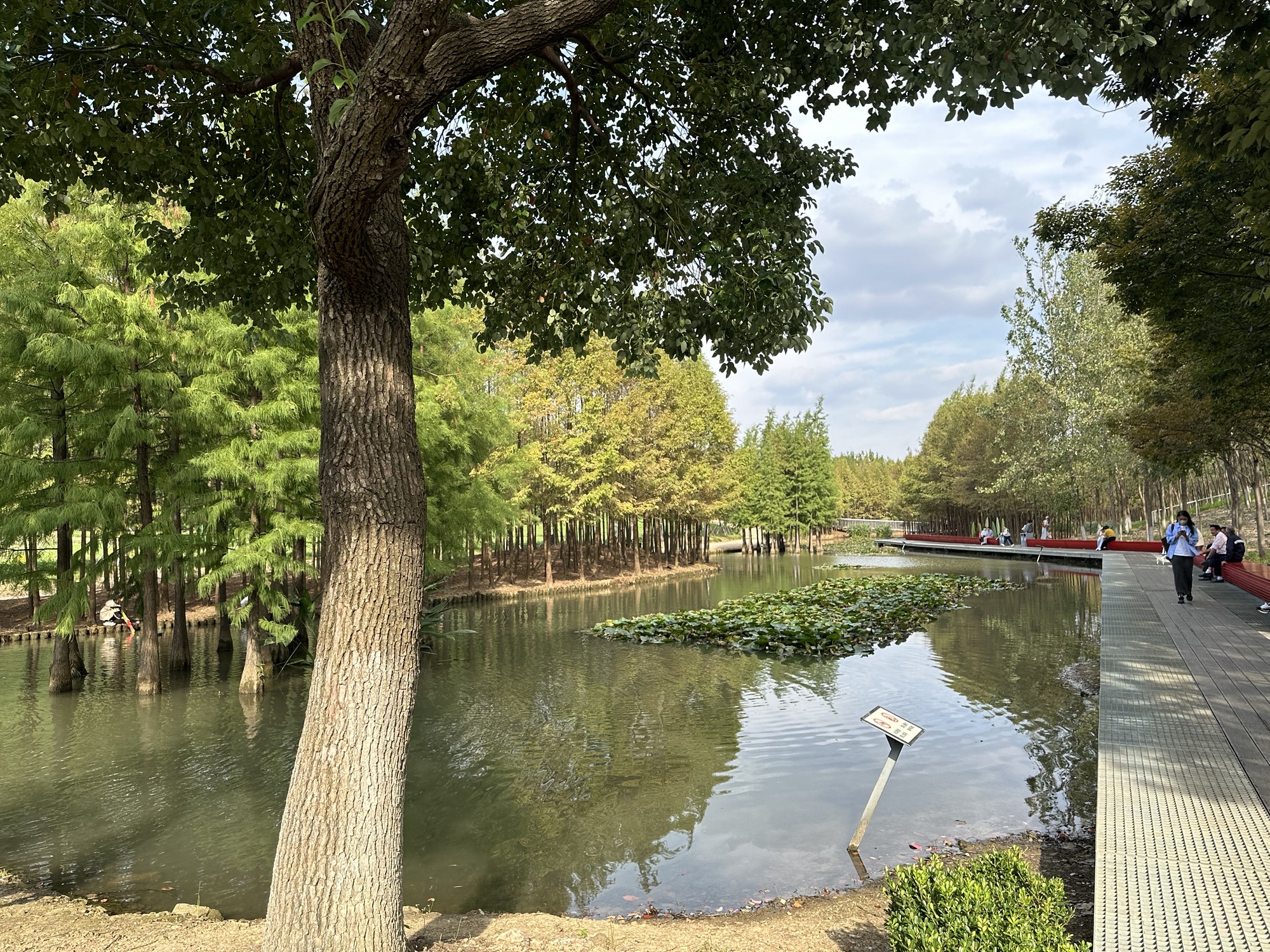 真山公园旅行图片 2