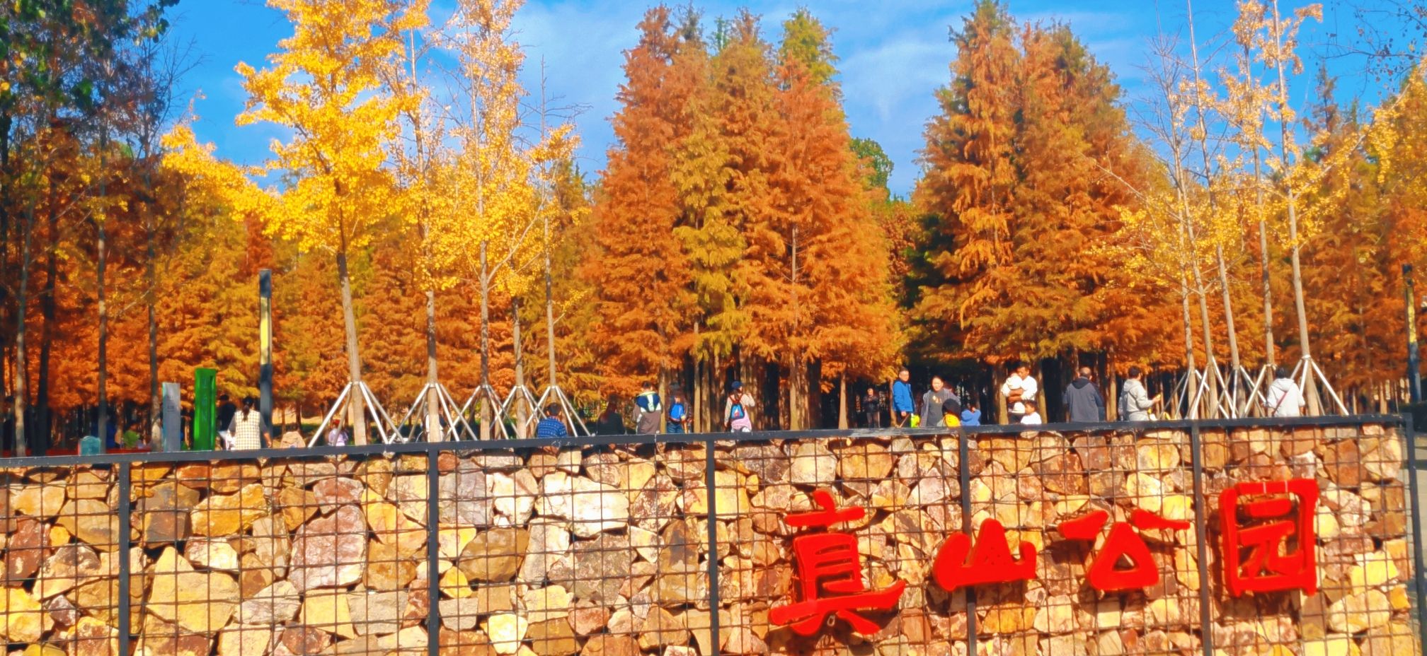 真山公园