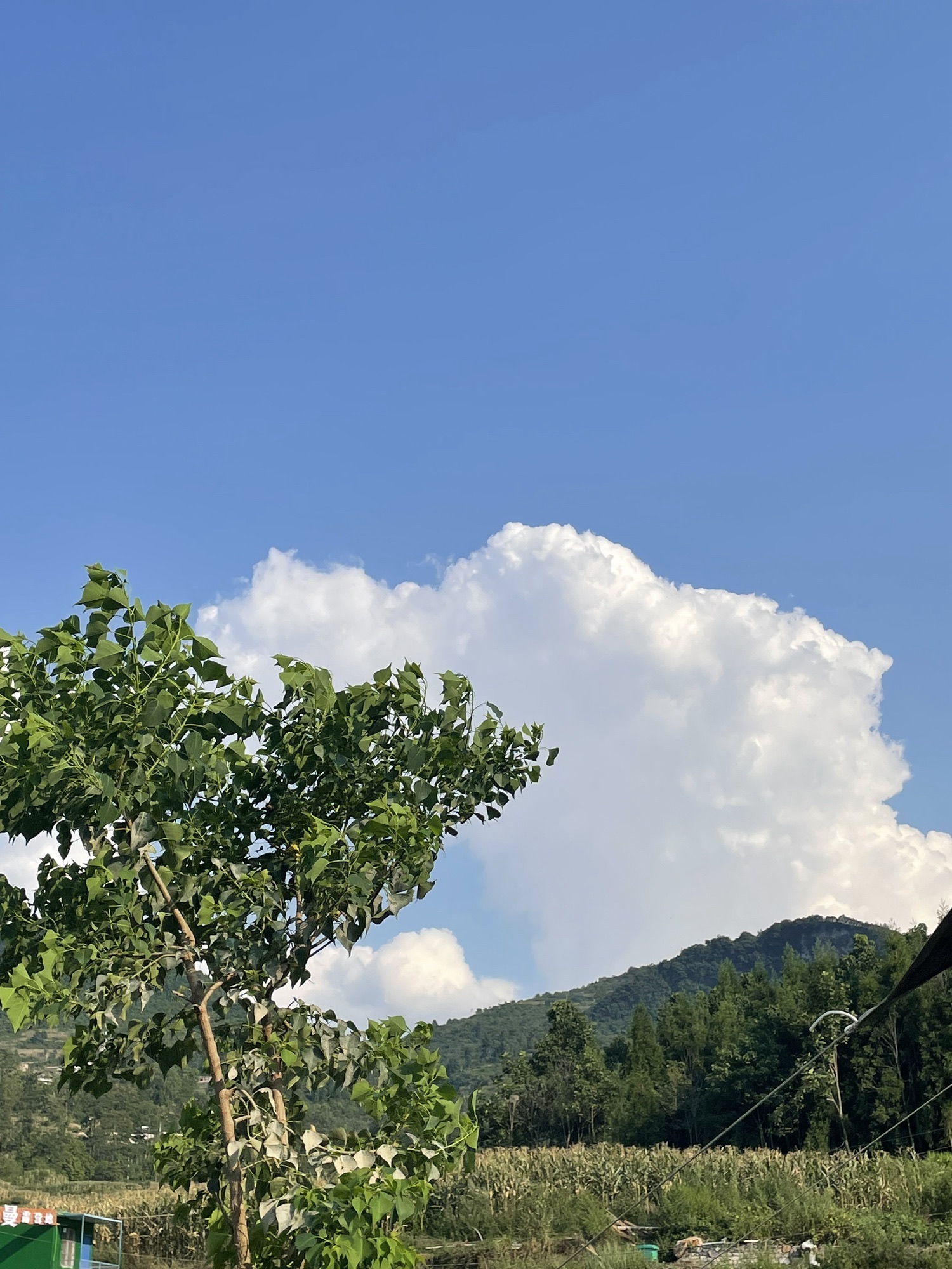 斯拉河(撕拉河)旅行图片 3