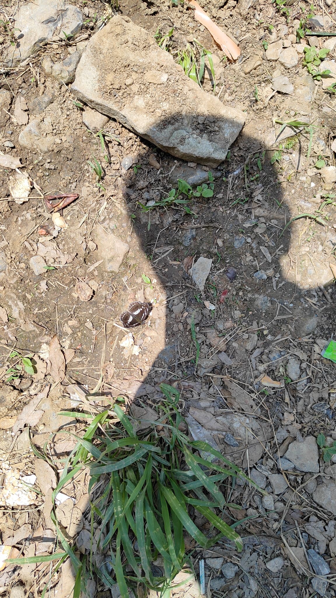 蝴蝶谷旅行图片 3