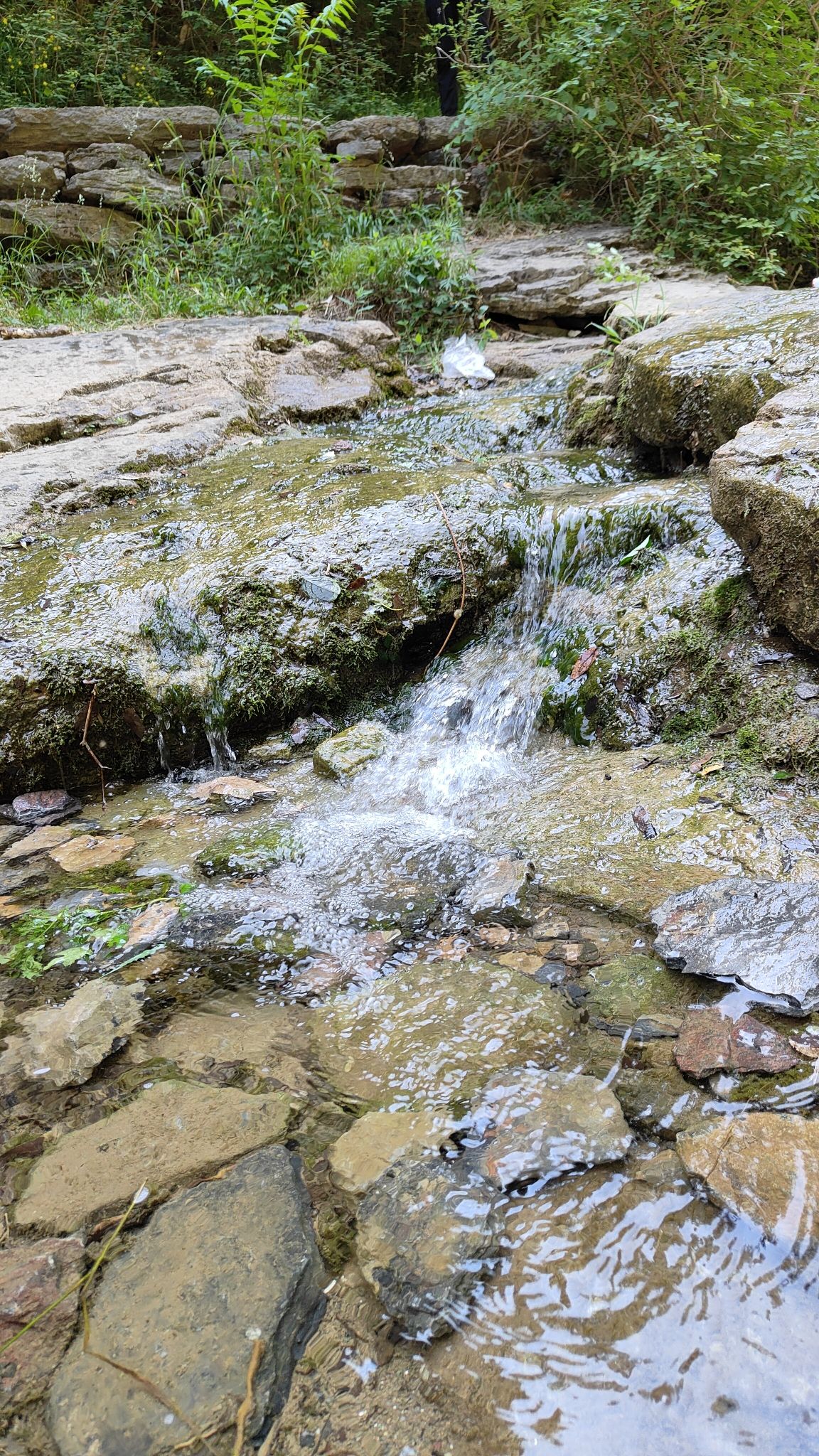 蝴蝶谷旅行图片 2