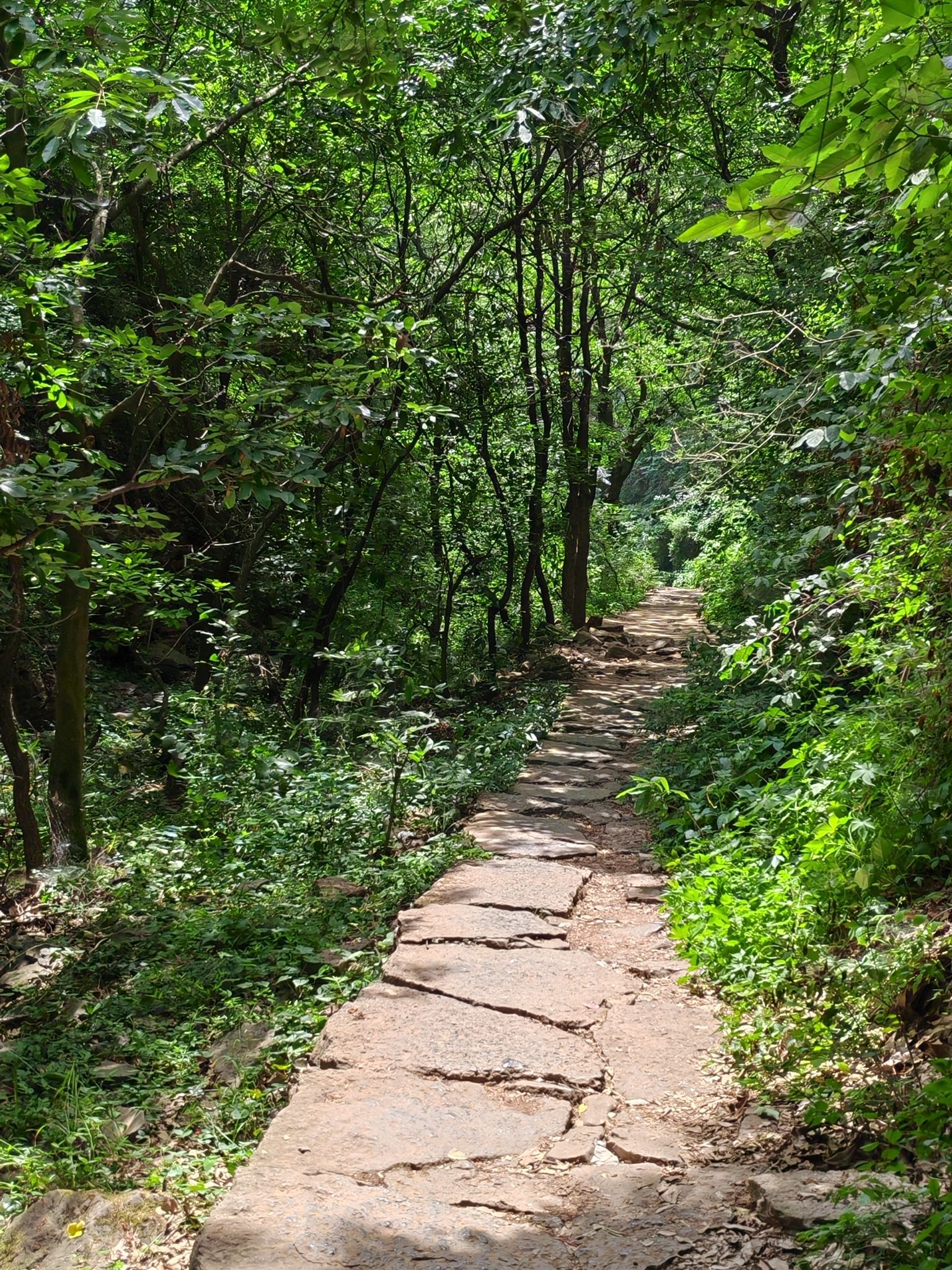 蝴蝶谷旅行图片 2