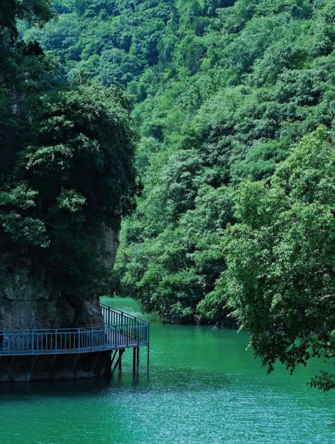 蝴蝶谷旅行图片 2