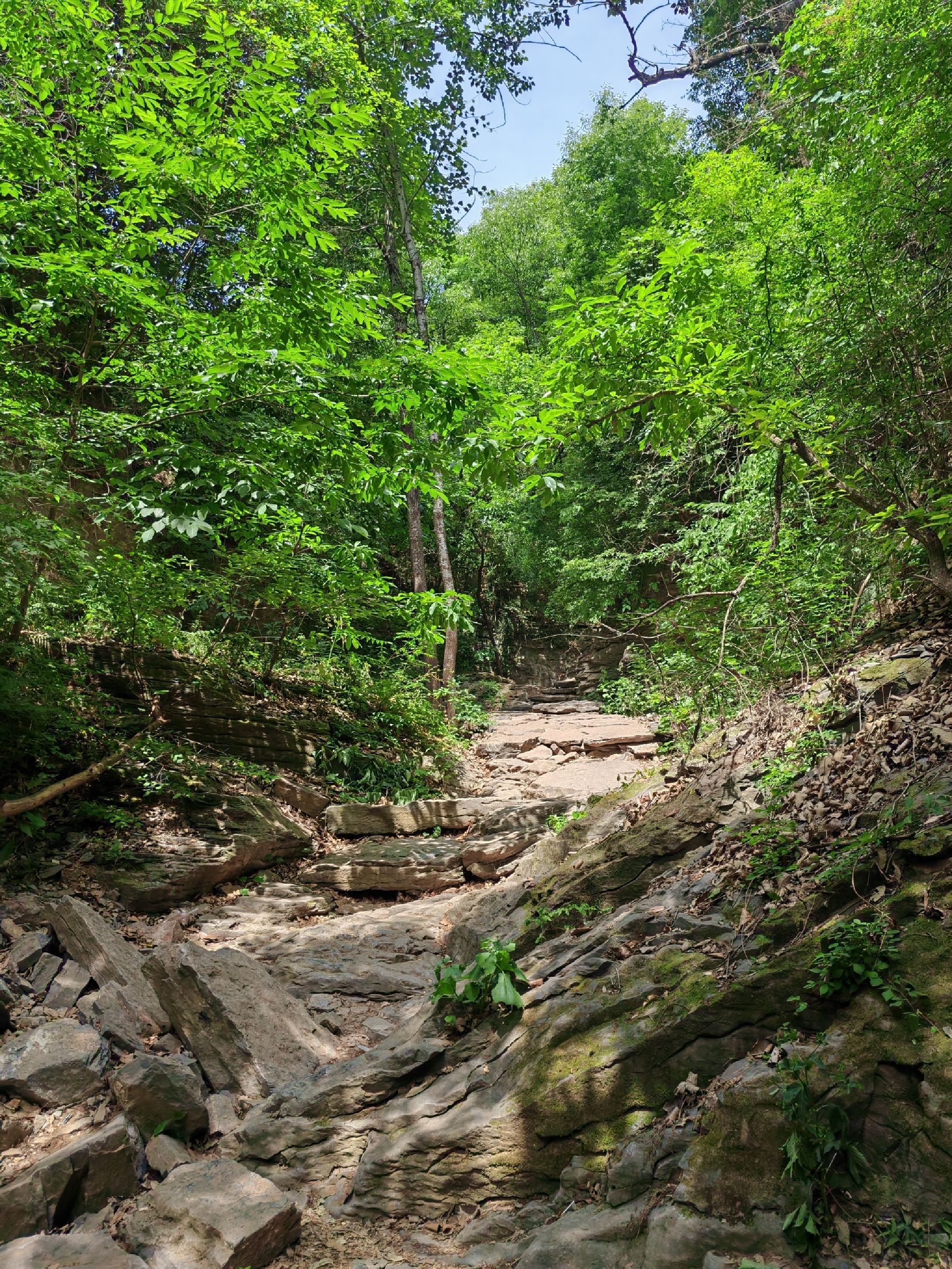 蝴蝶谷旅行图片 1