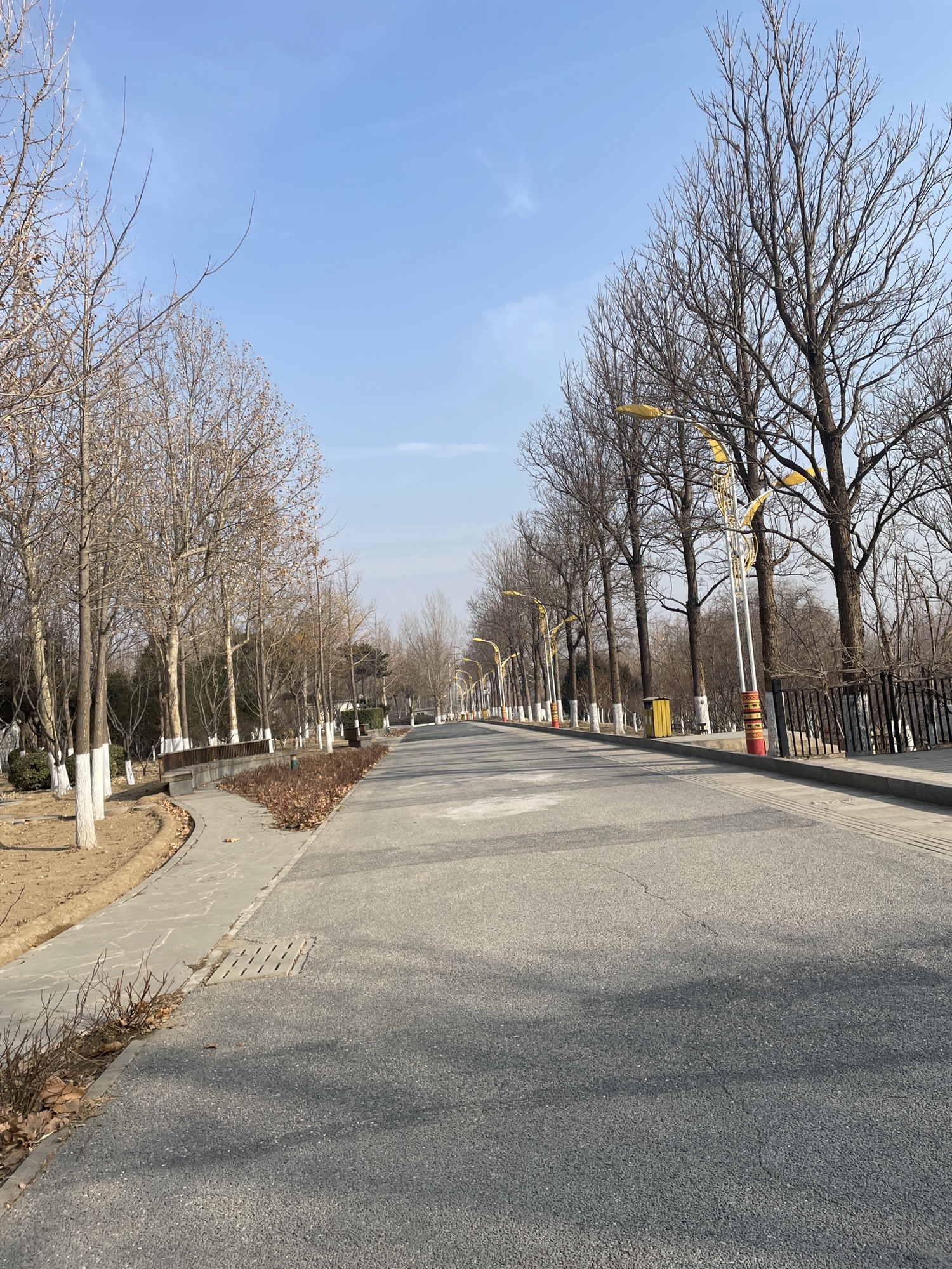 燕郊悦春园旅行图片 3