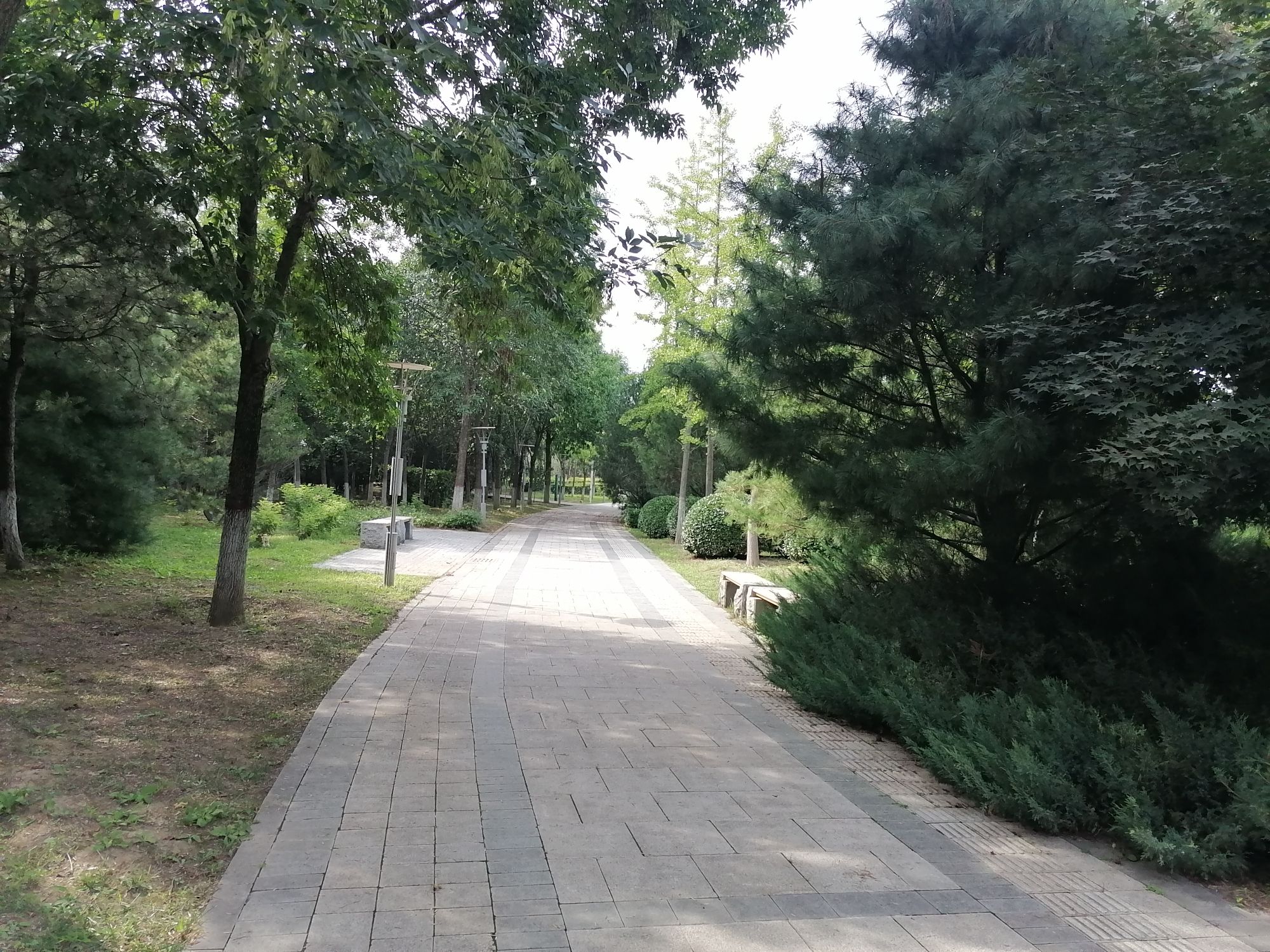 燕郊悦春园旅行图片 3