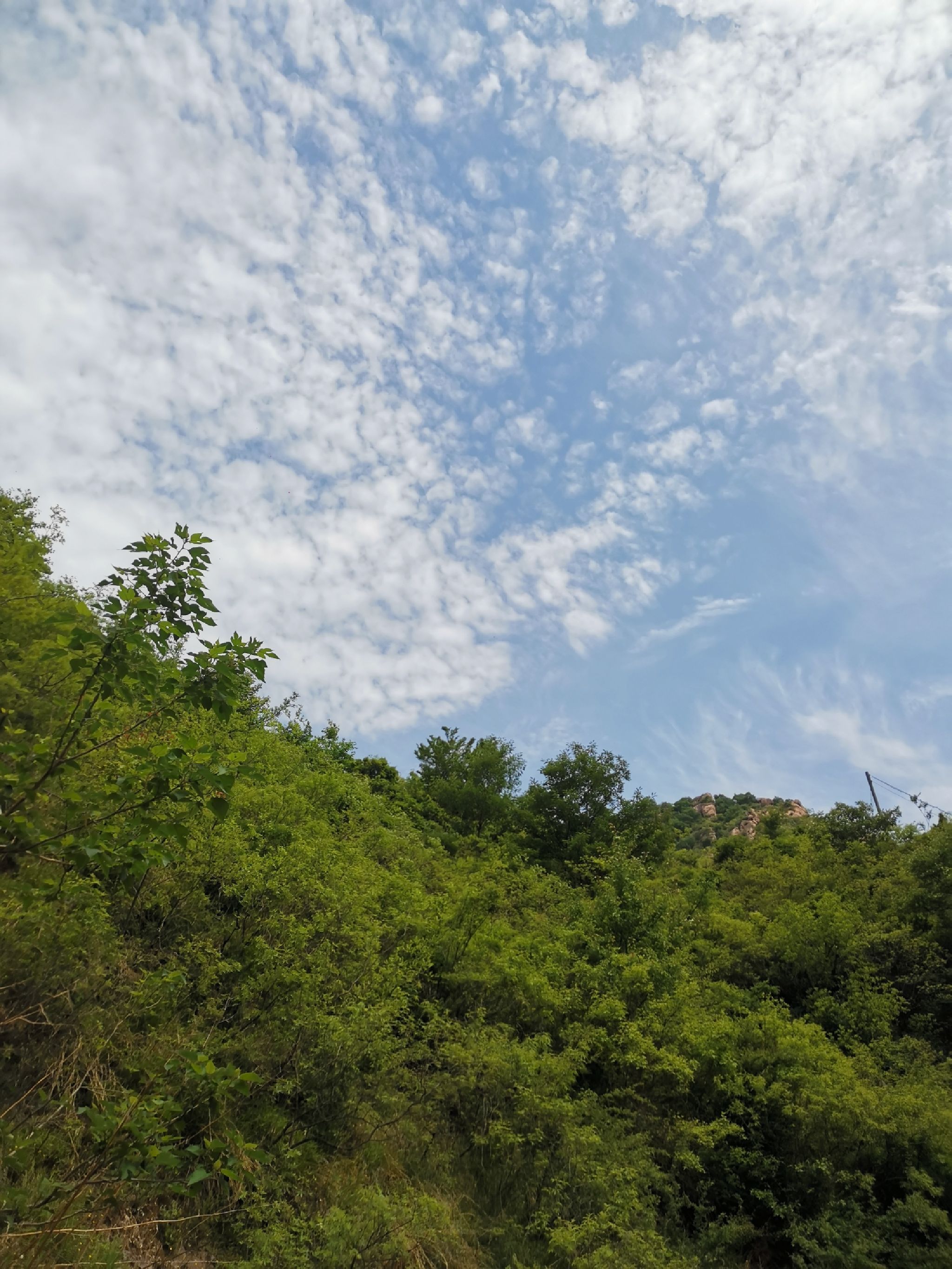 千米一观旅行图片 1