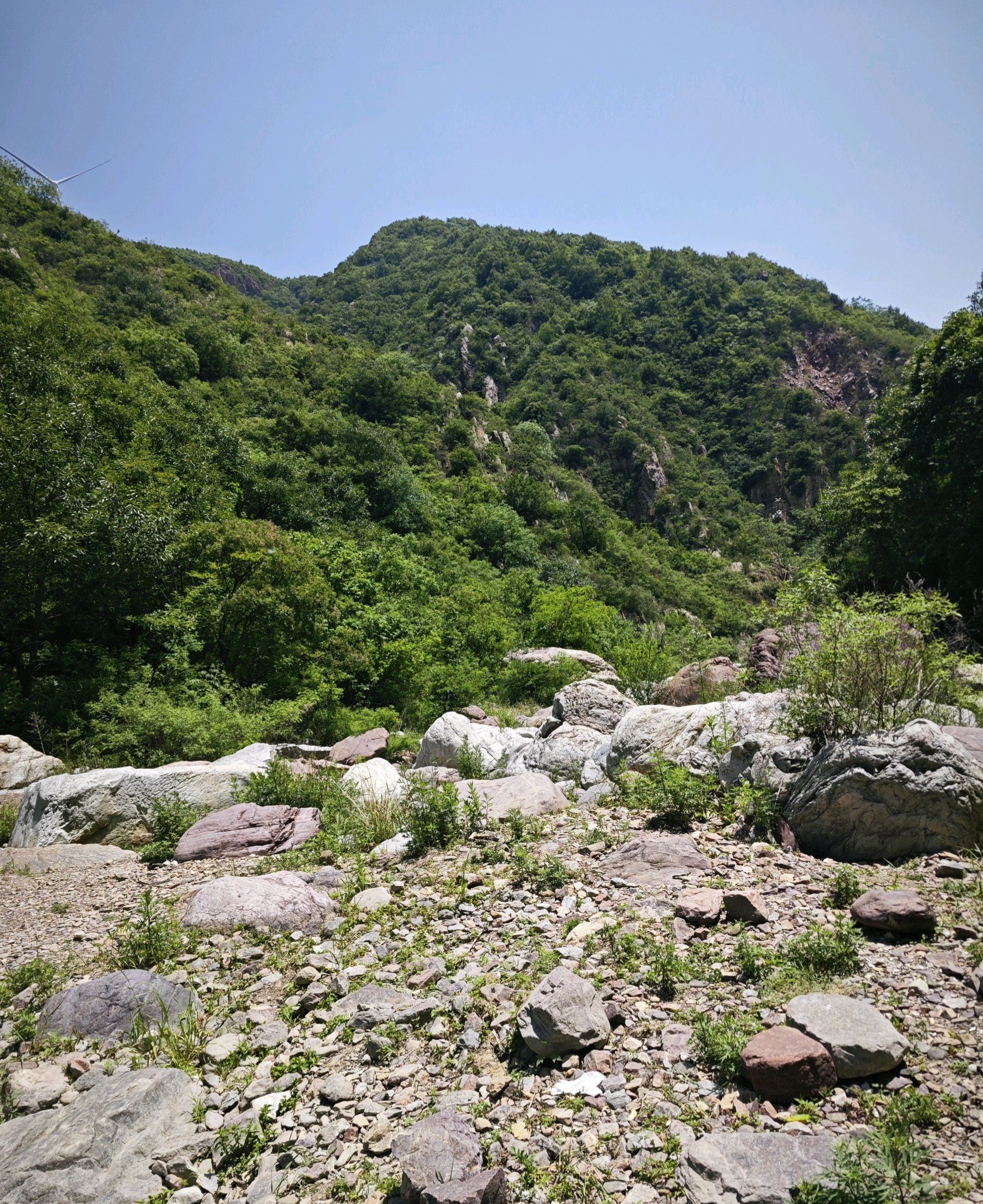千米一观旅行图片 2
