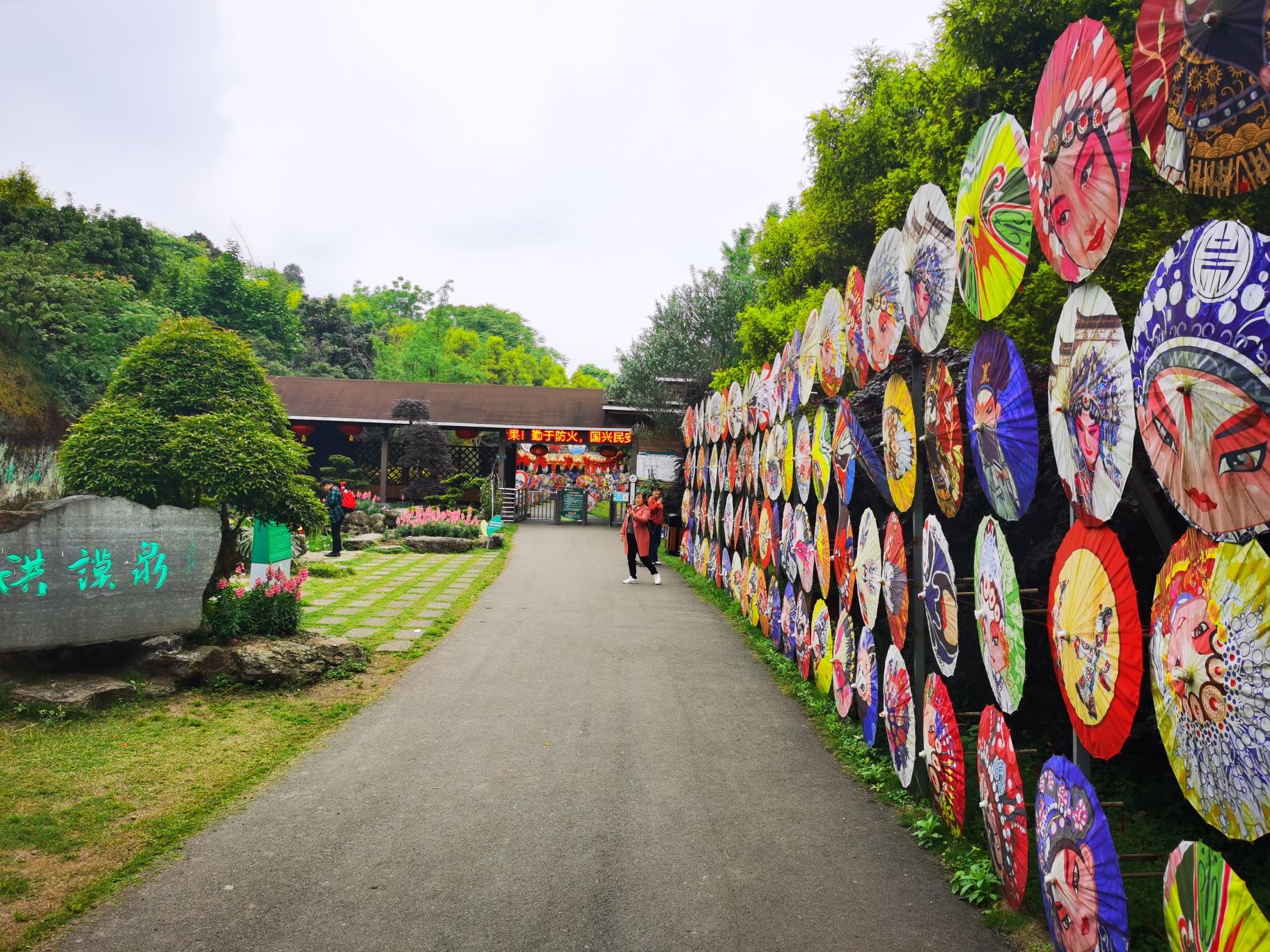 蜀南花海(暂停开放)旅行图片 1