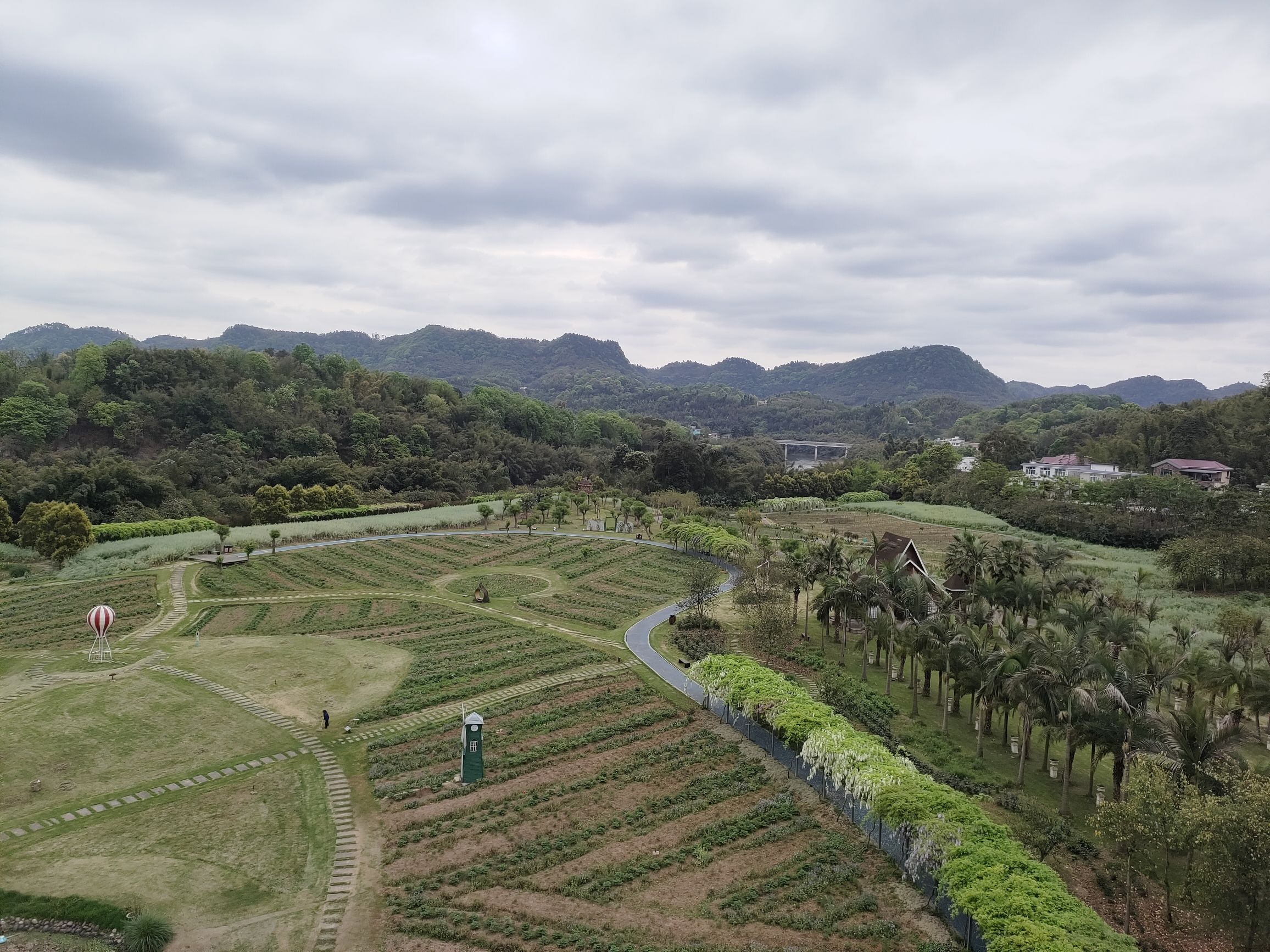 蜀南花海(暂停开放)旅行图片 1