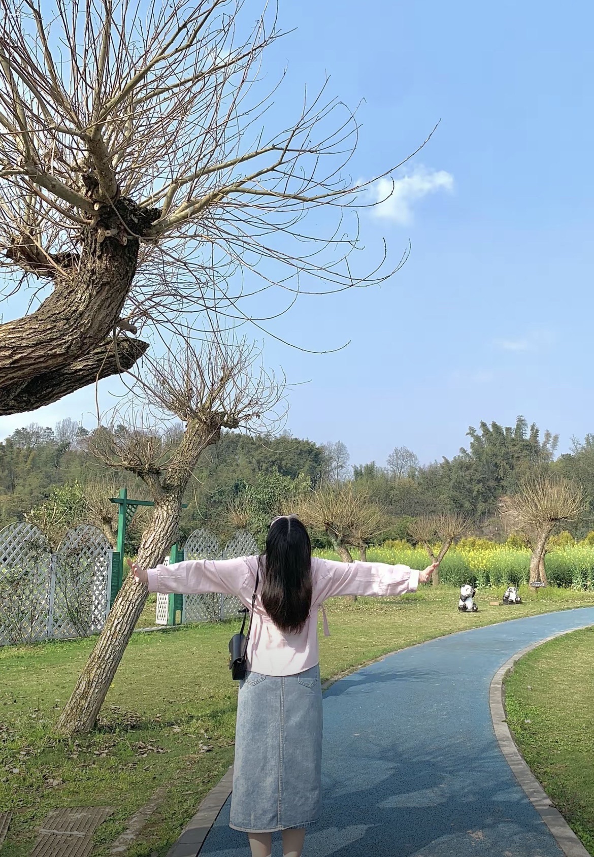 蜀南花海(暂停开放)旅行图片 2