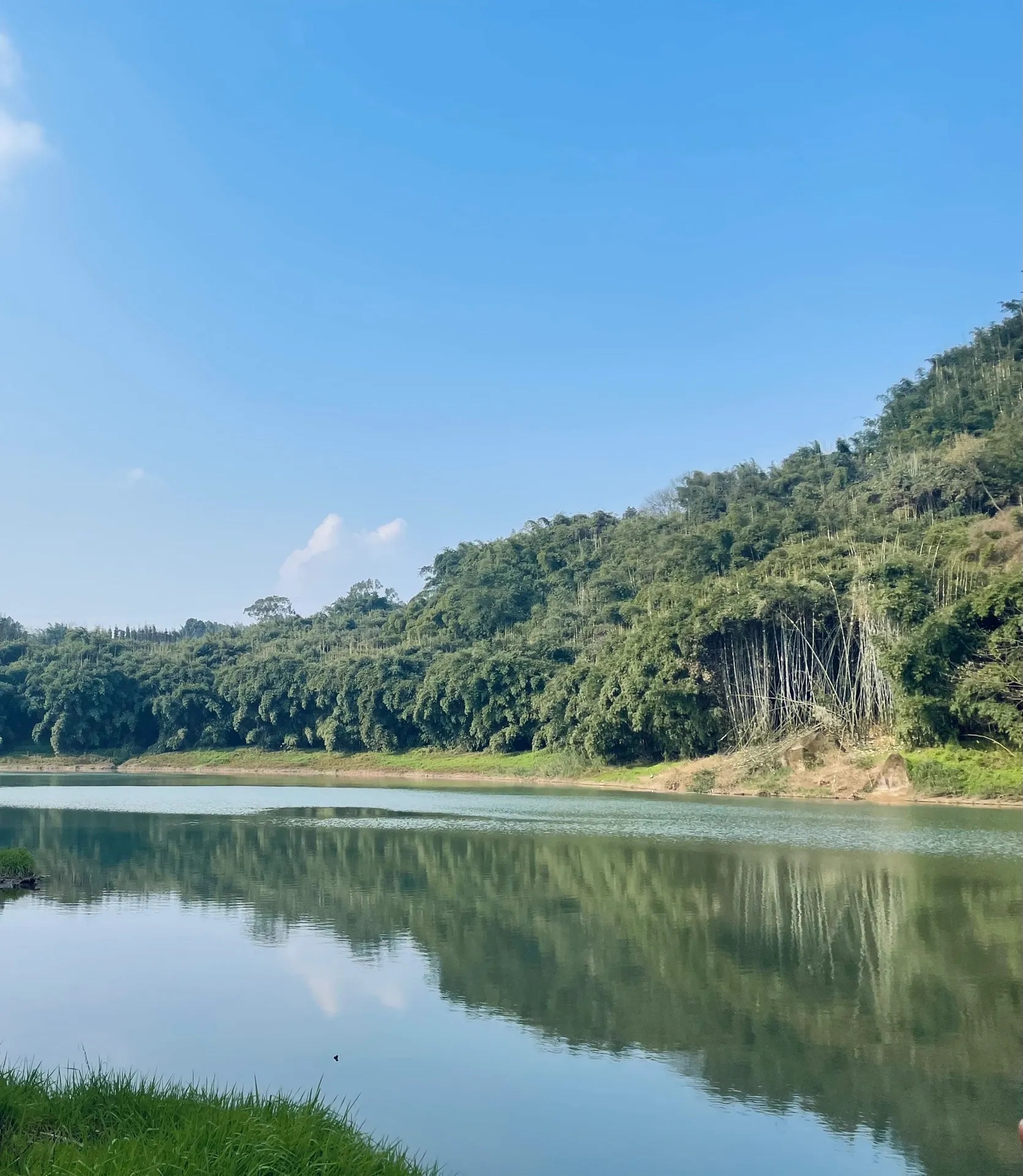 蜀南花海(暂停开放)旅行图片 3