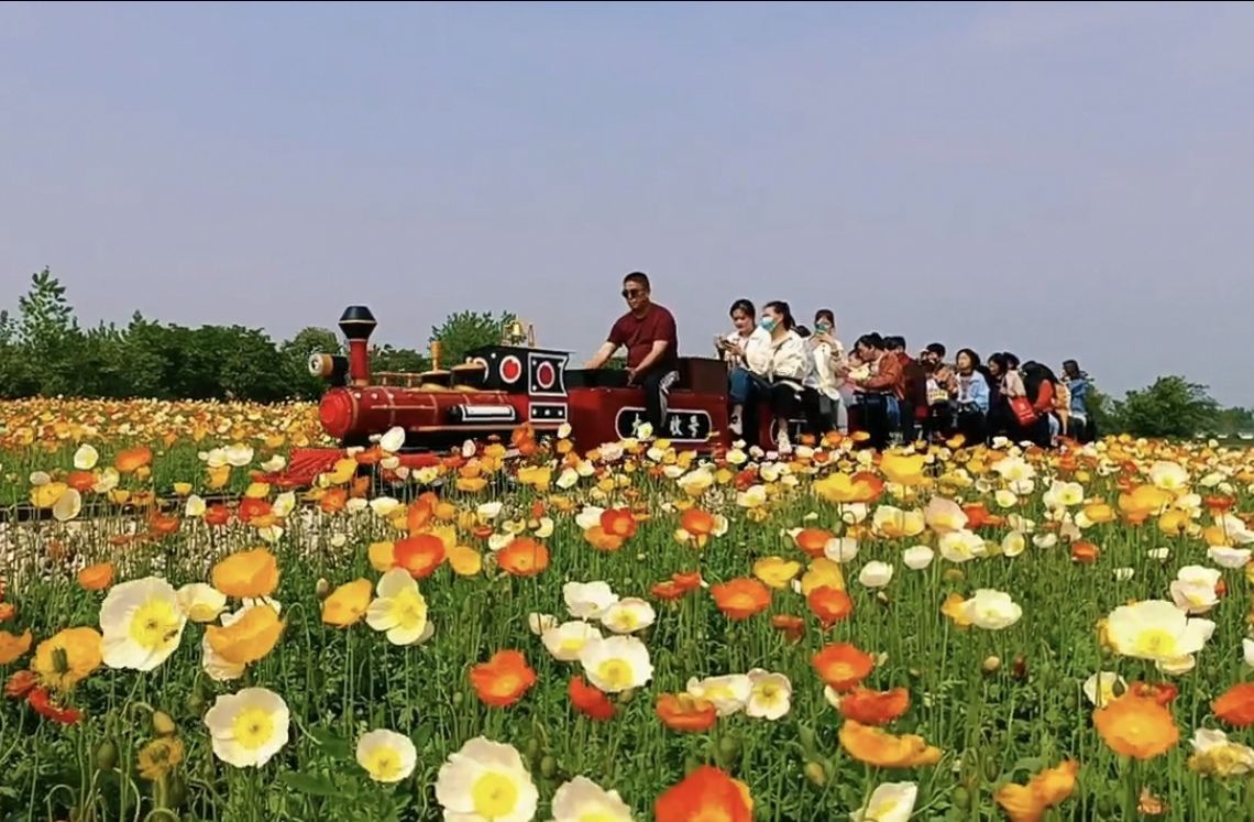 黄淮大丰收乡村世界旅行图片 2