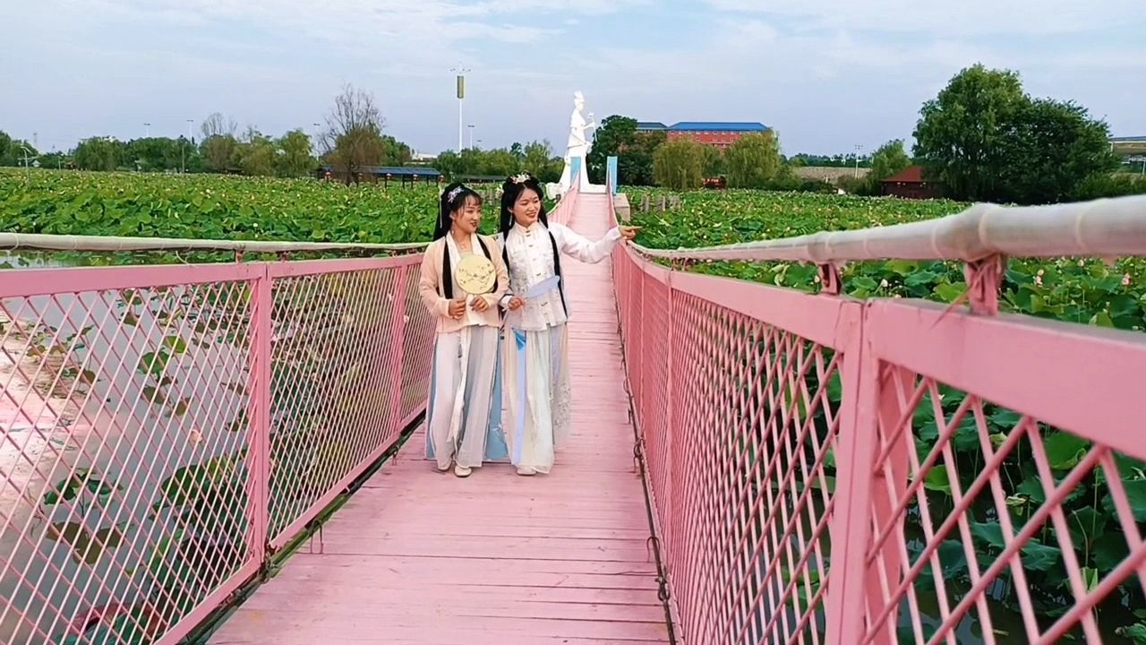 黄淮大丰收乡村世界旅行图片 3