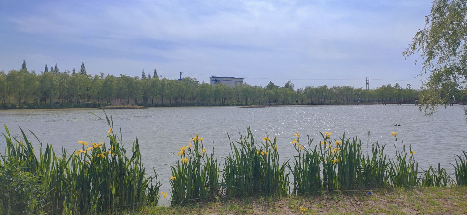 双龙湖湿地公园旅行图片 2