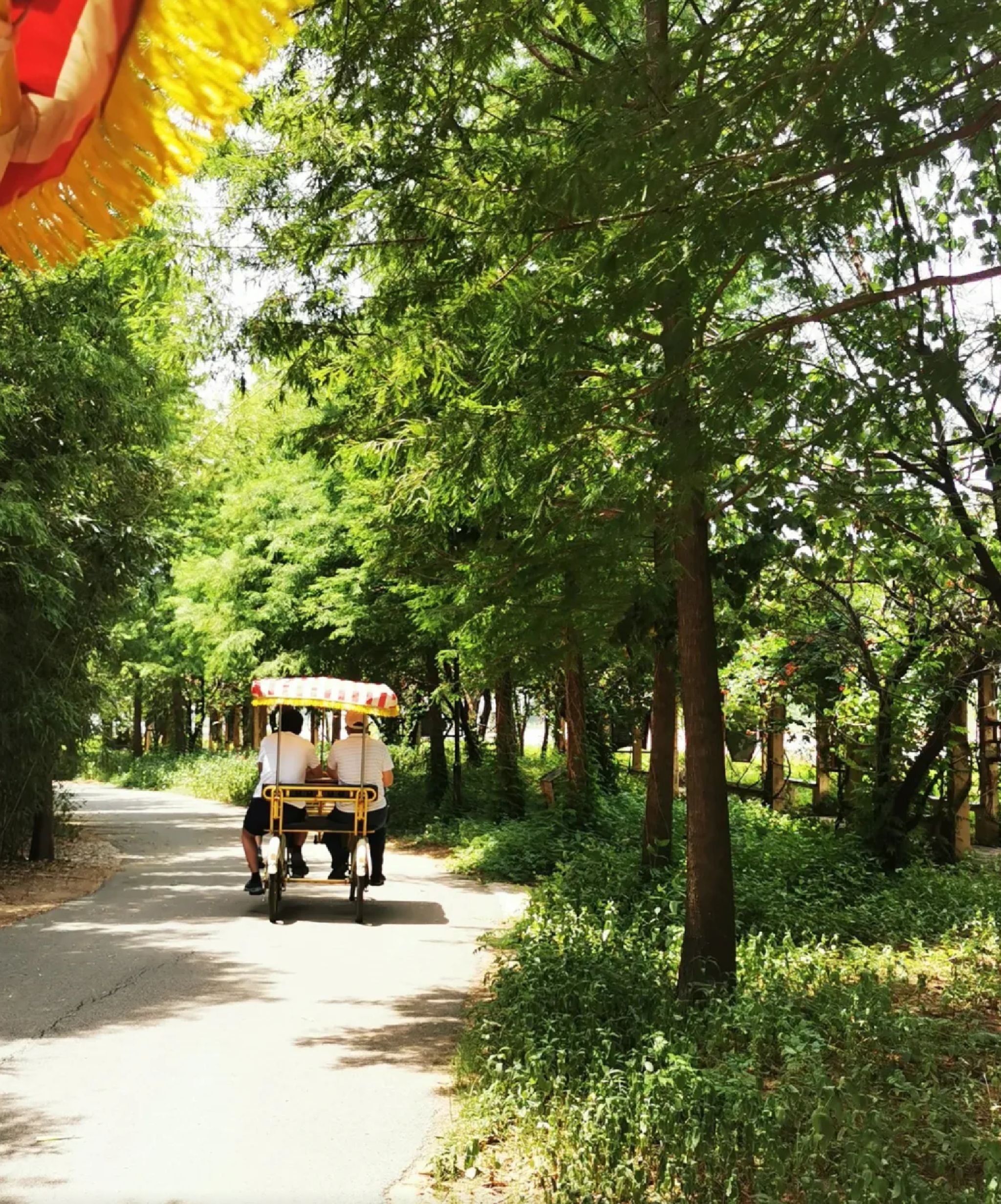 双龙湖湿地公园旅行图片 1