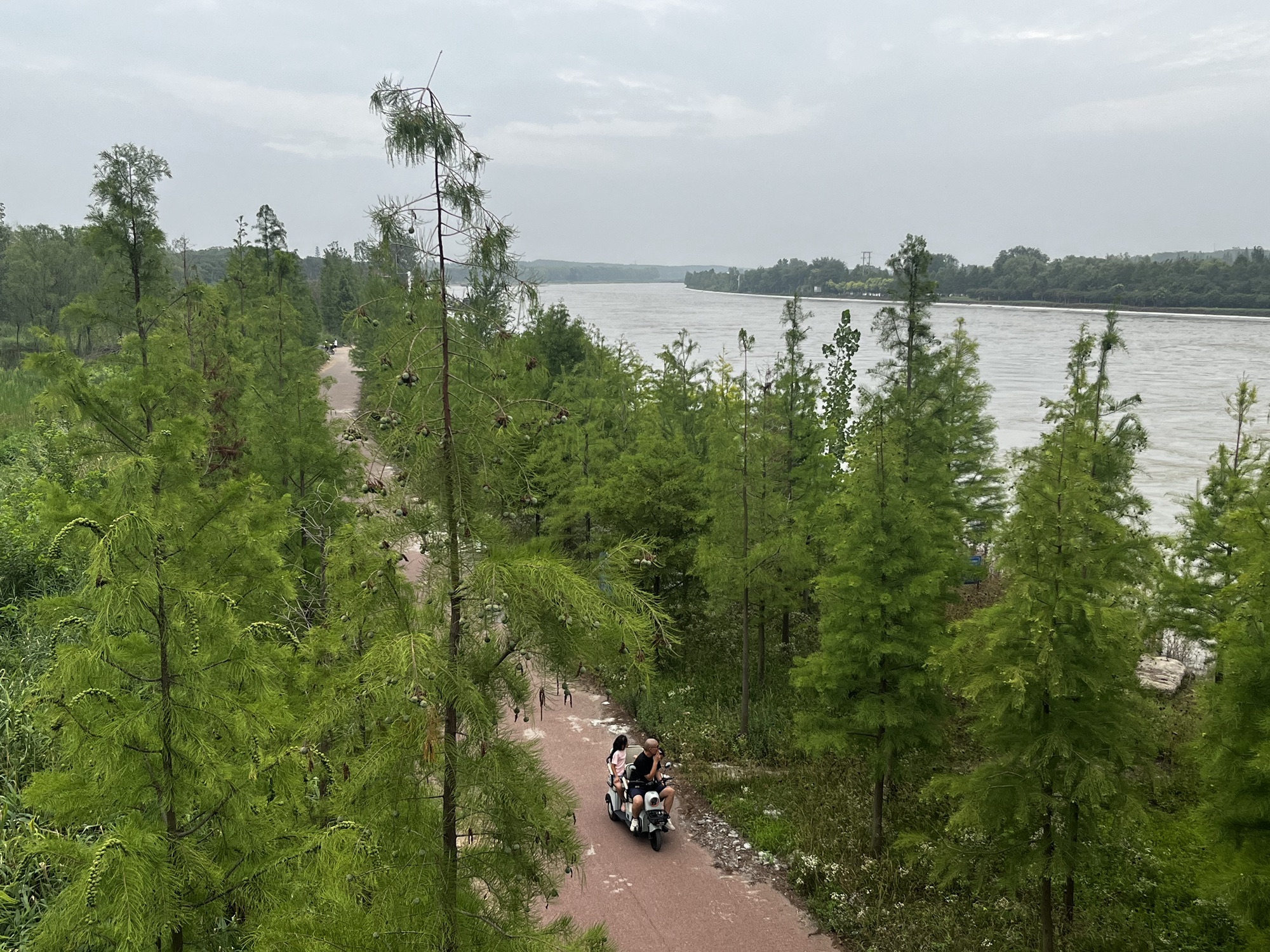 双龙湖湿地公园旅行图片 1