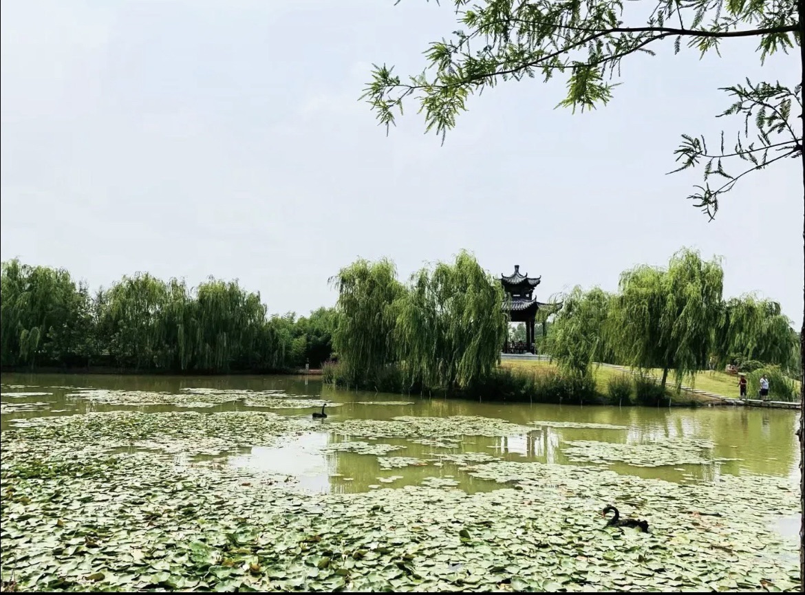 双龙湖湿地公园旅行图片 3