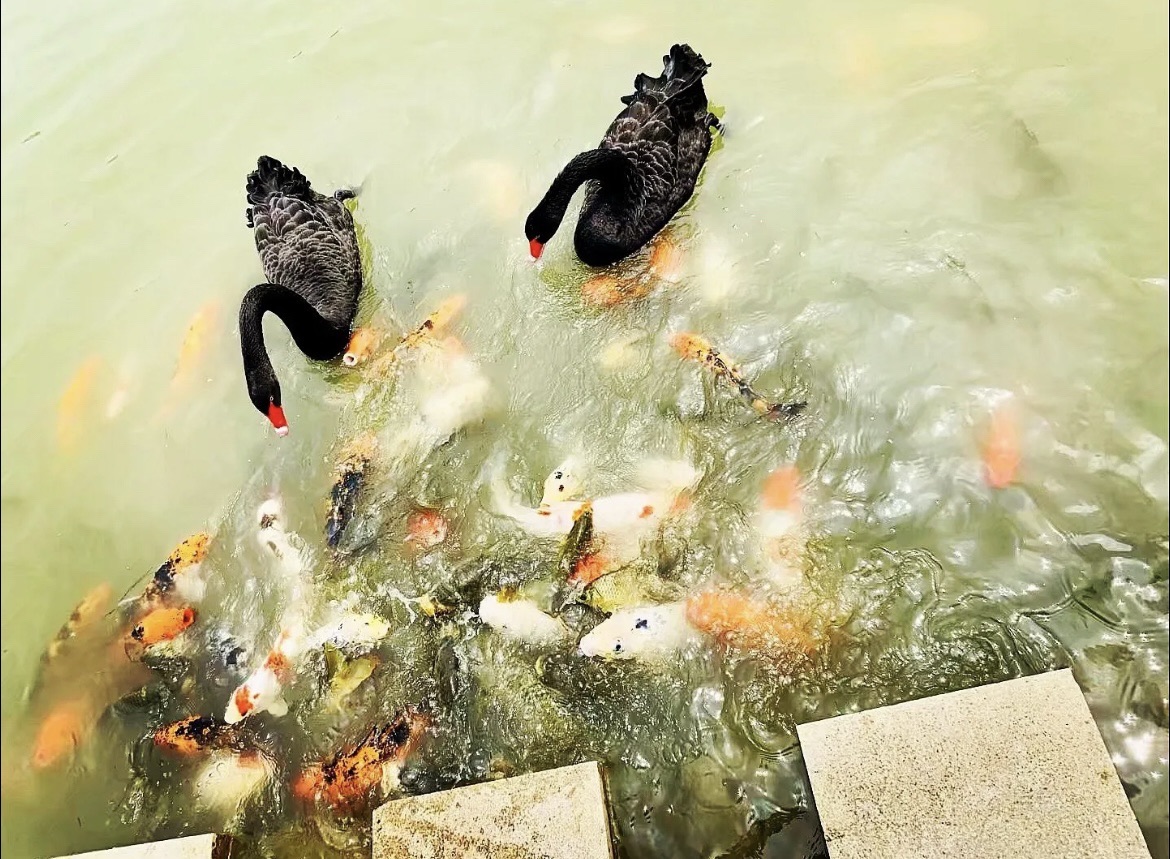 双龙湖湿地公园旅行图片 1