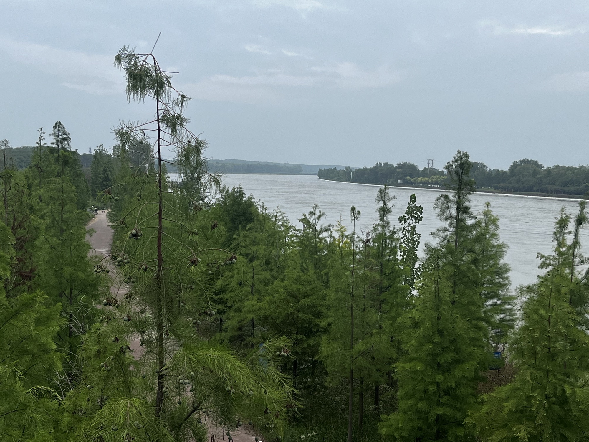 双龙湖湿地公园旅行图片 3