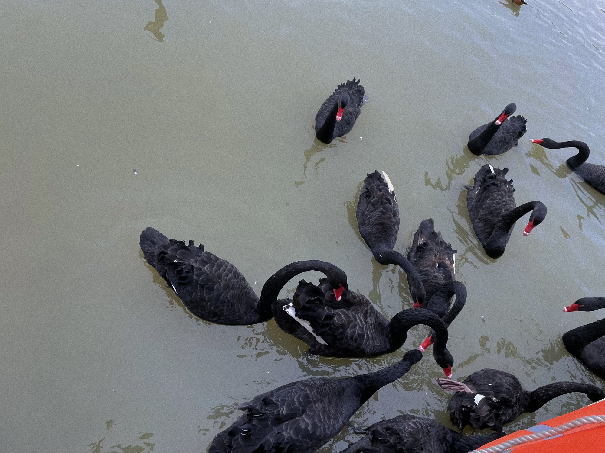 双龙湖湿地公园旅行图片 3
