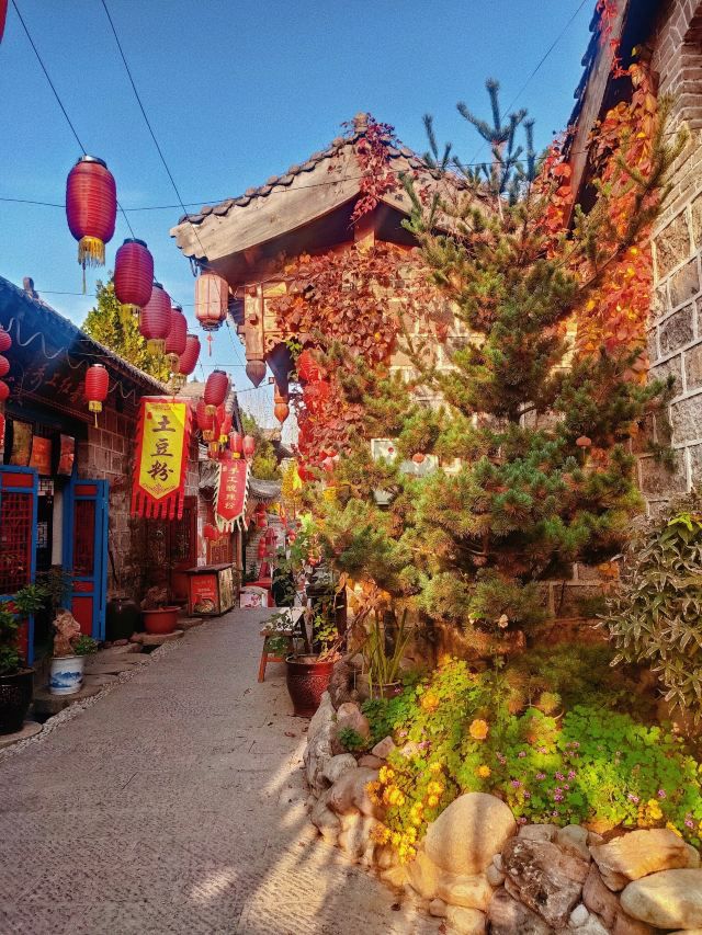 桑园小镇旅行图片 1