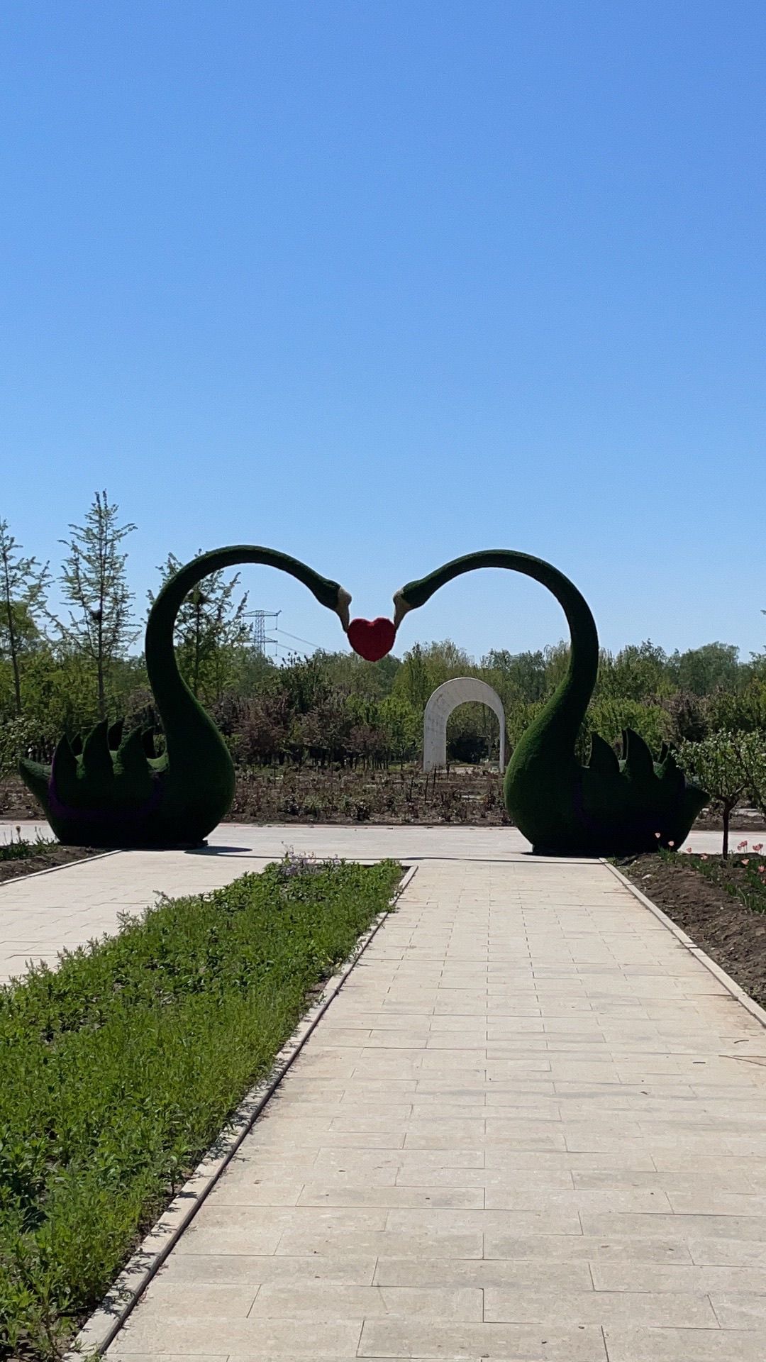 津门国际梦幻花都旅行图片 3
