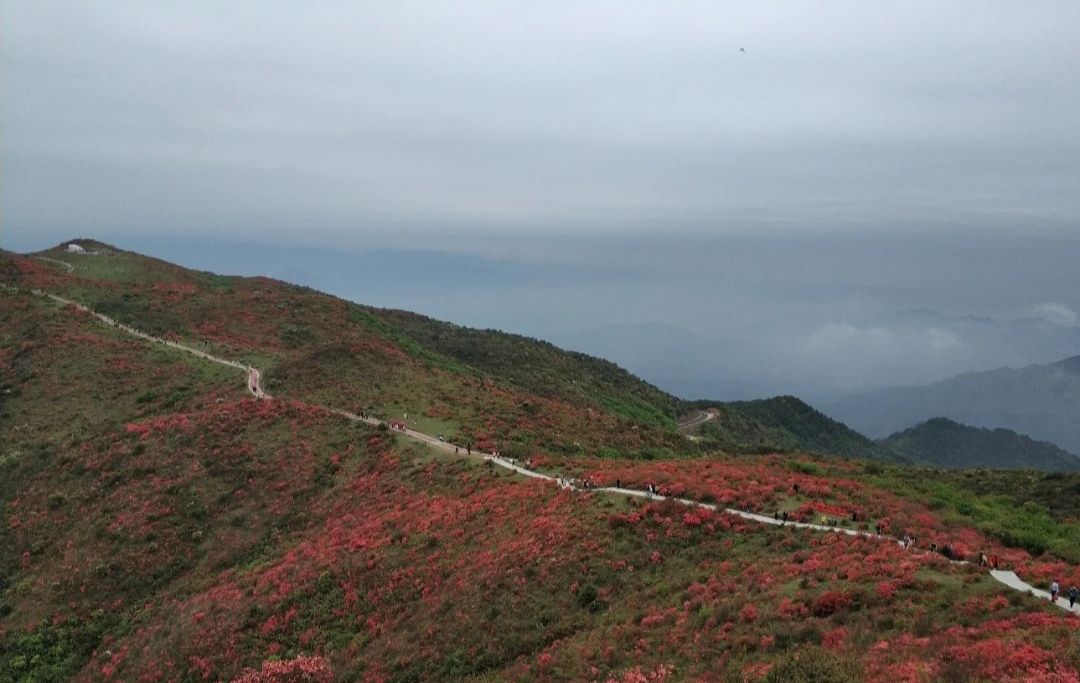 八卦脑景区旅行图片 2