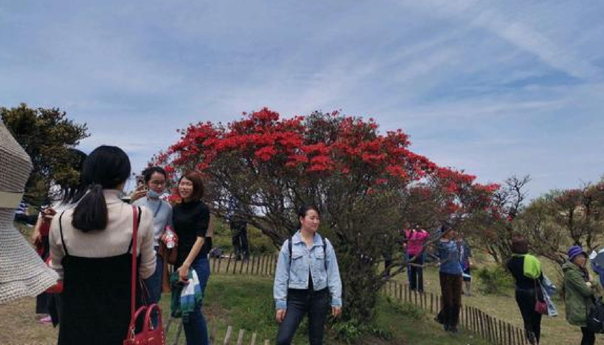 八卦脑景区旅行图片 1