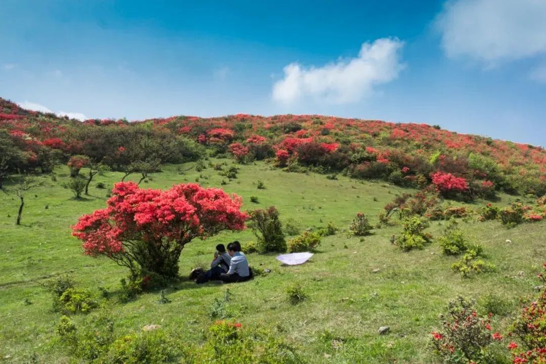 八卦脑景区旅行图片 2