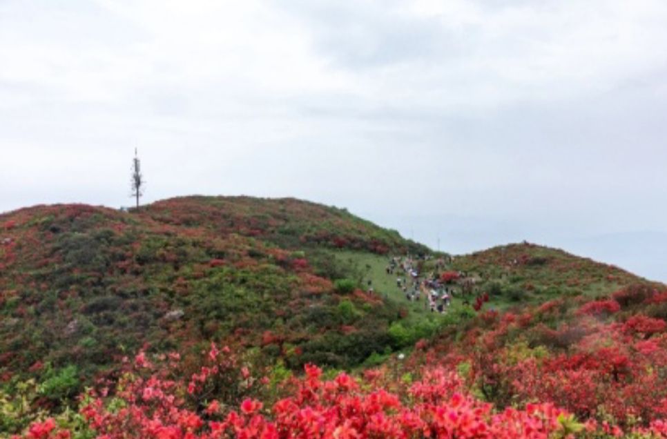 八卦脑景区旅行图片 3