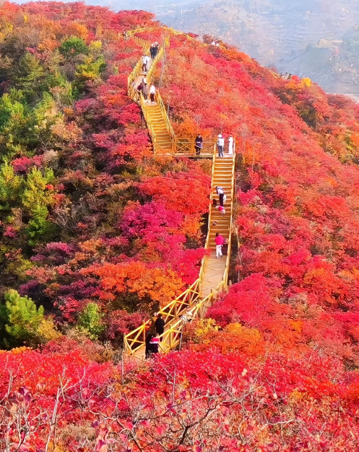 八卦脑景区旅行图片 3