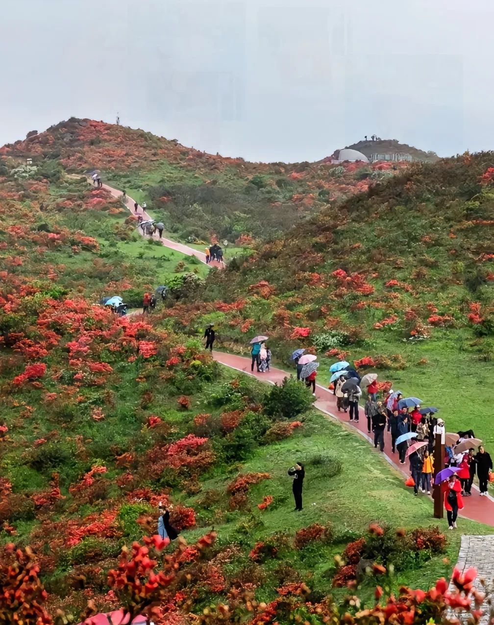 八卦脑景区旅行图片 2