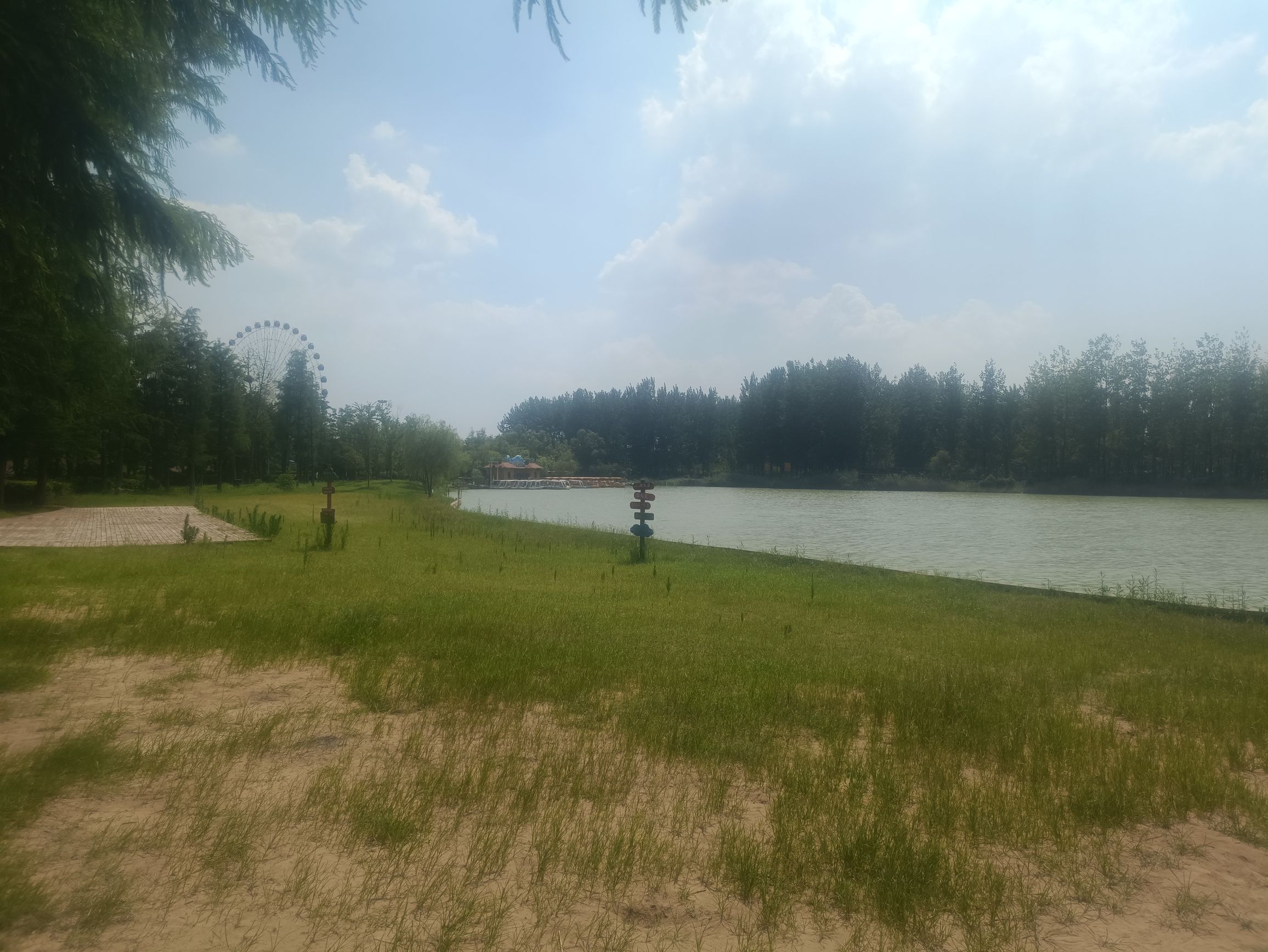 林拥城·药都林海景区旅行图片 2