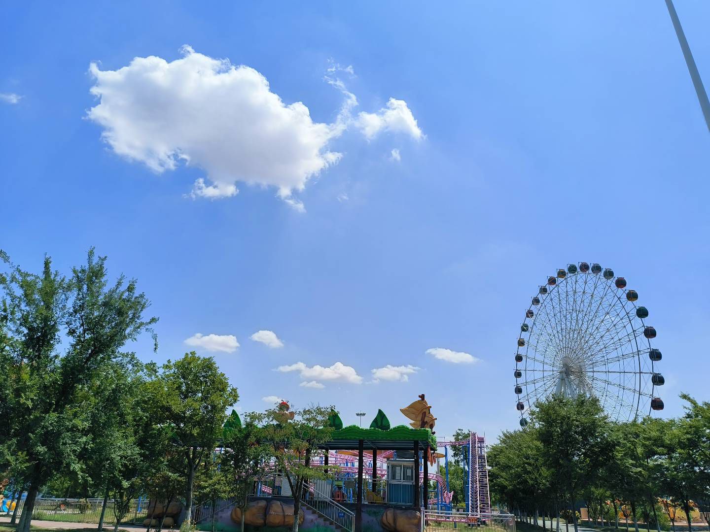 林拥城·药都林海景区旅行图片 1